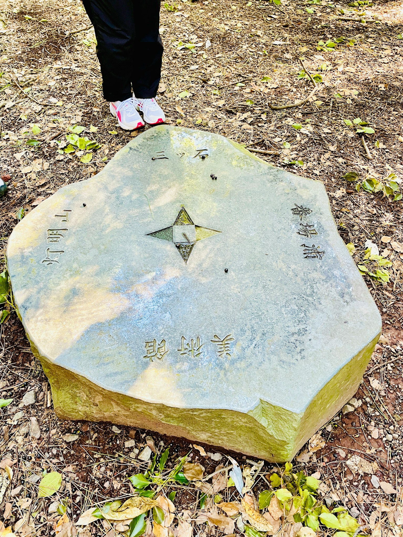 Ein einzigartig geformter Stein mit einem Sternmuster oben, umgeben von Natur