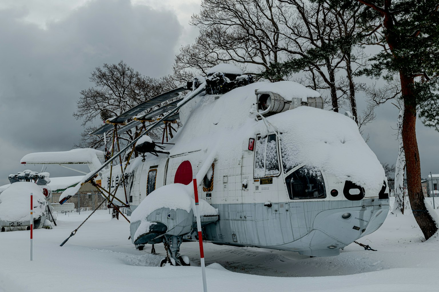 Helicóptero cubierto de nieve entre árboles