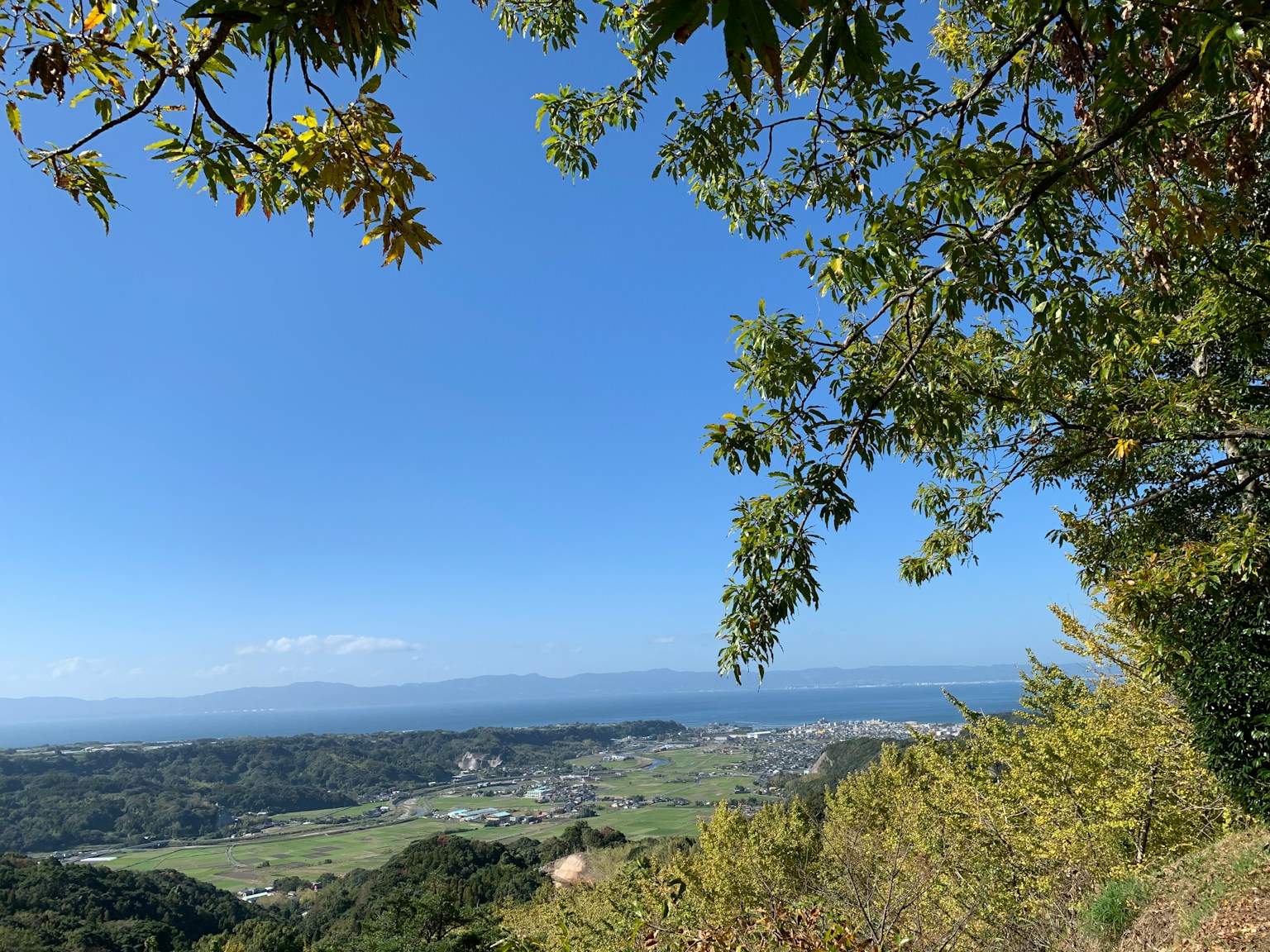 Landschaft mit blauem Himmel und grünen Bäumen