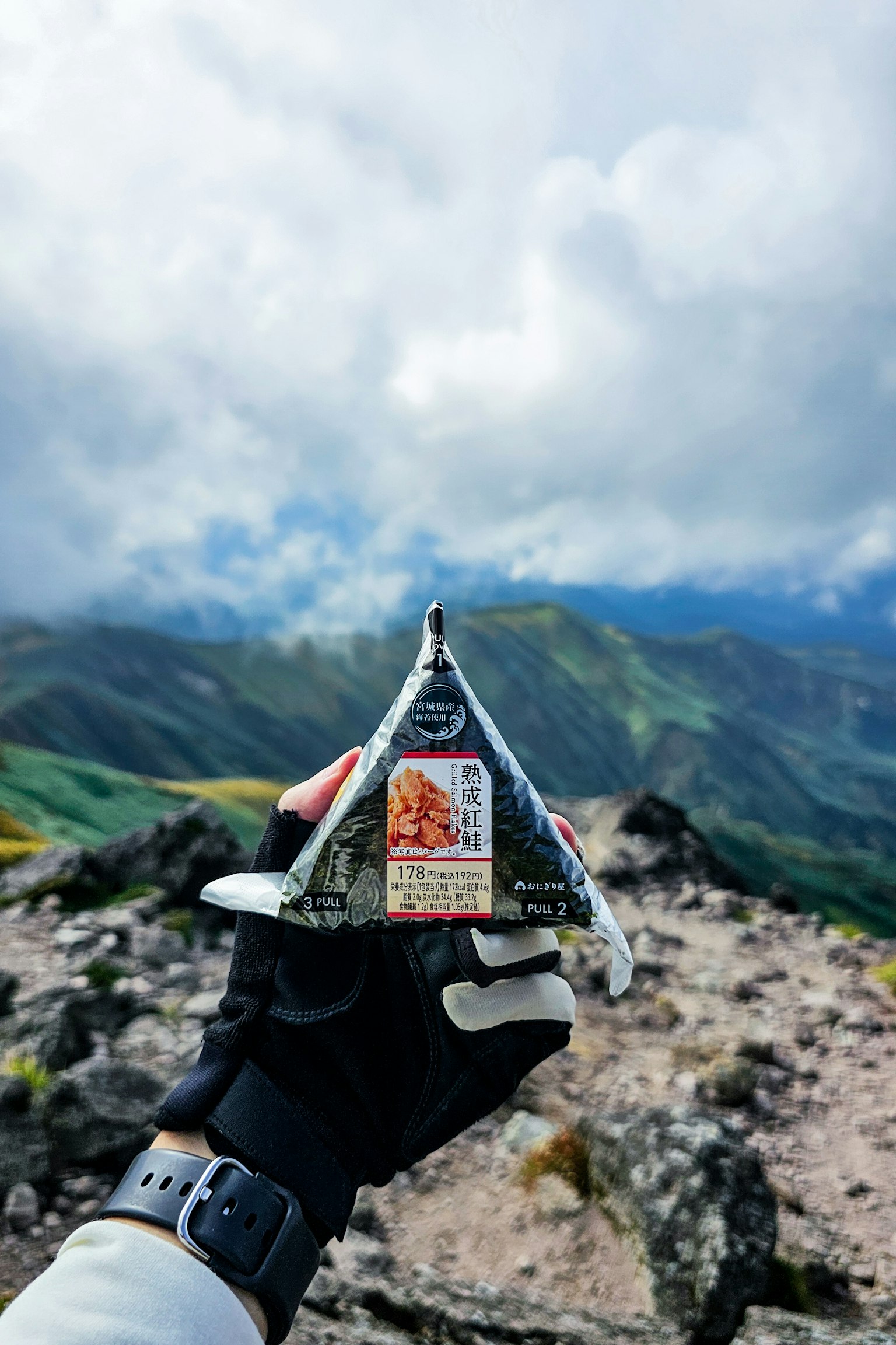 在山頂上舉著飯糰的手