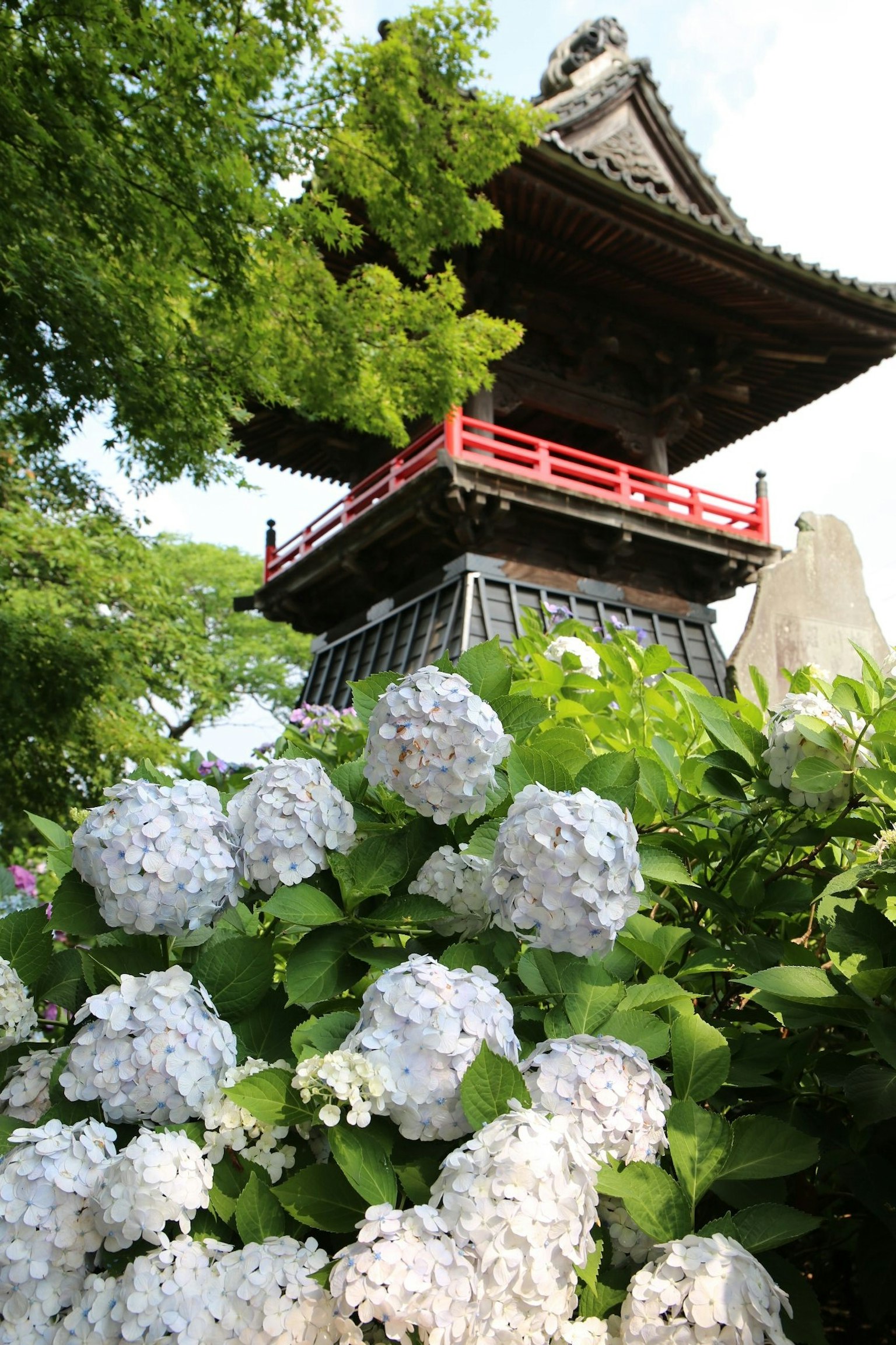 Traditioneller japanischer Turm mit roter Geländer umgeben von weißen Hortensien
