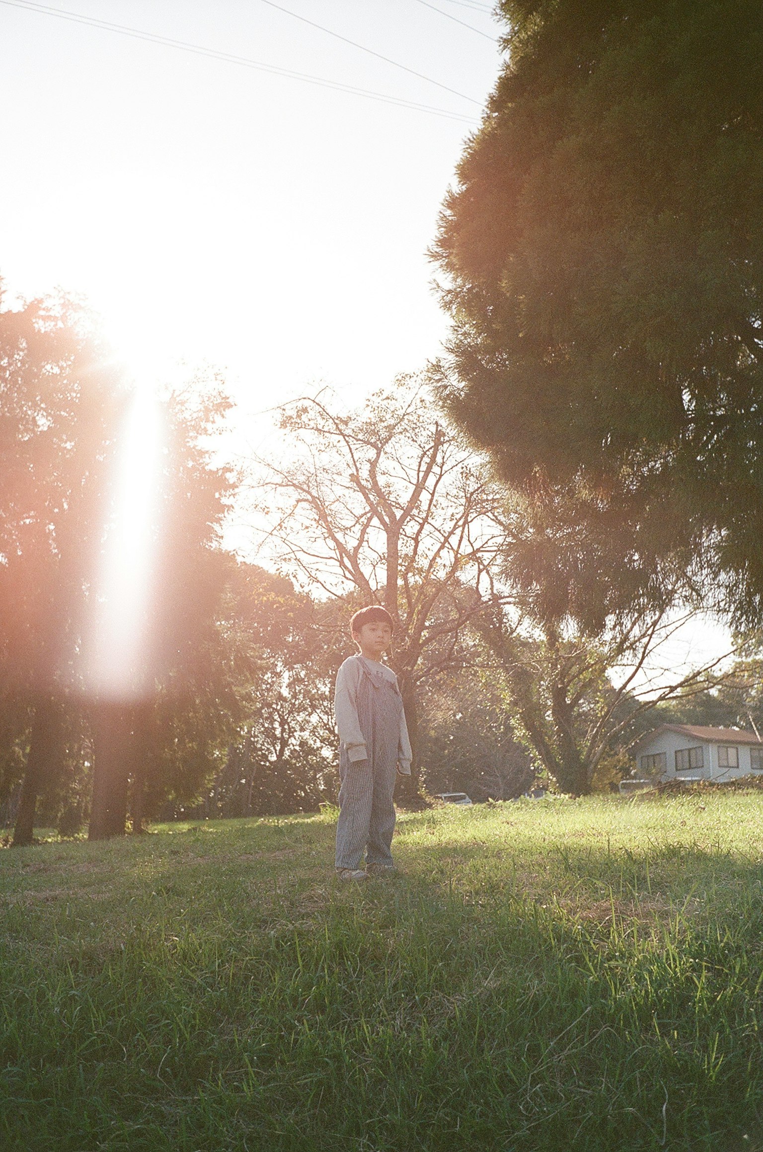 Une personne se tenant dans un champ d'herbe sous un soleil brillant et des arbres