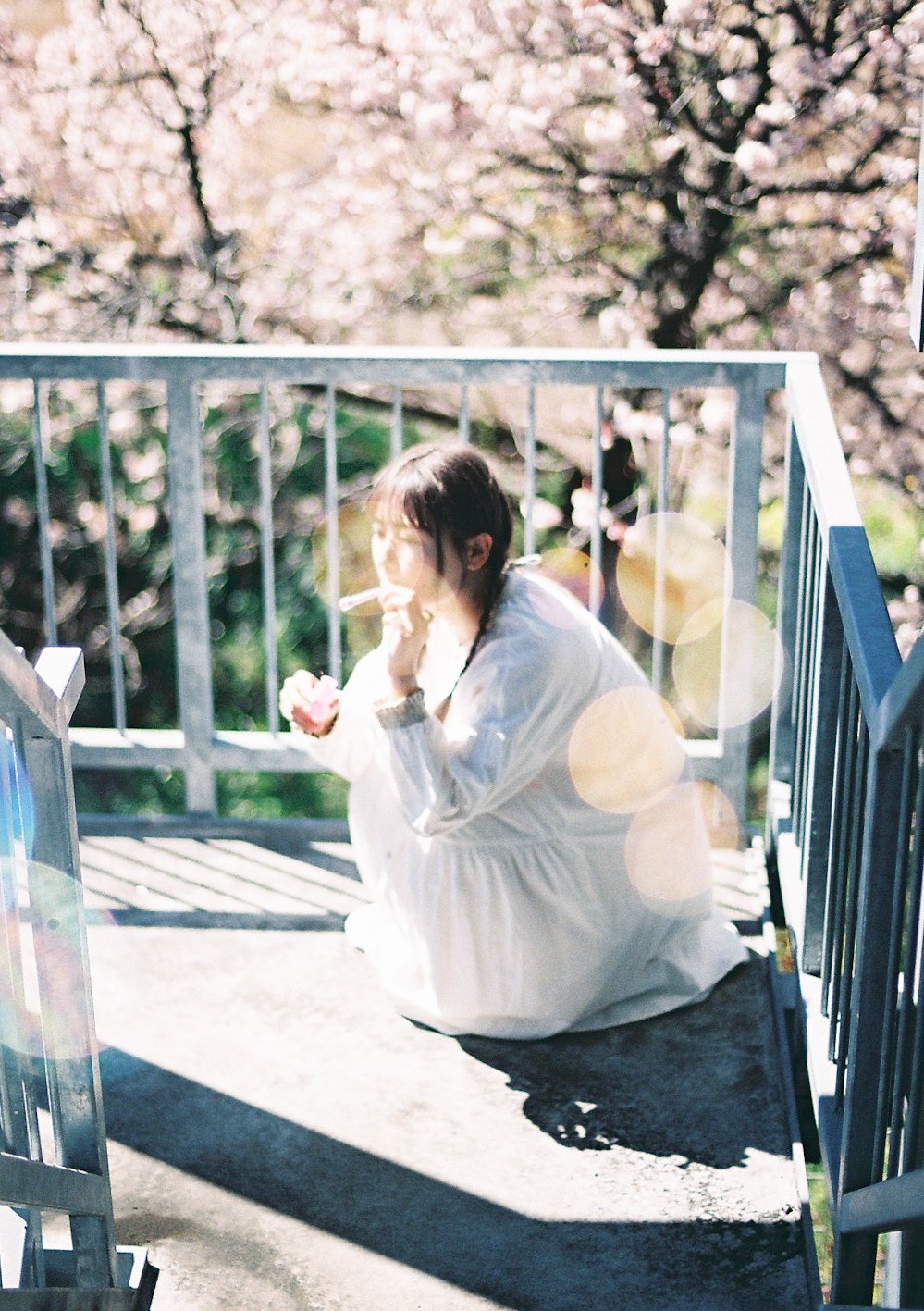 桜の木の下でベンチに座る女性