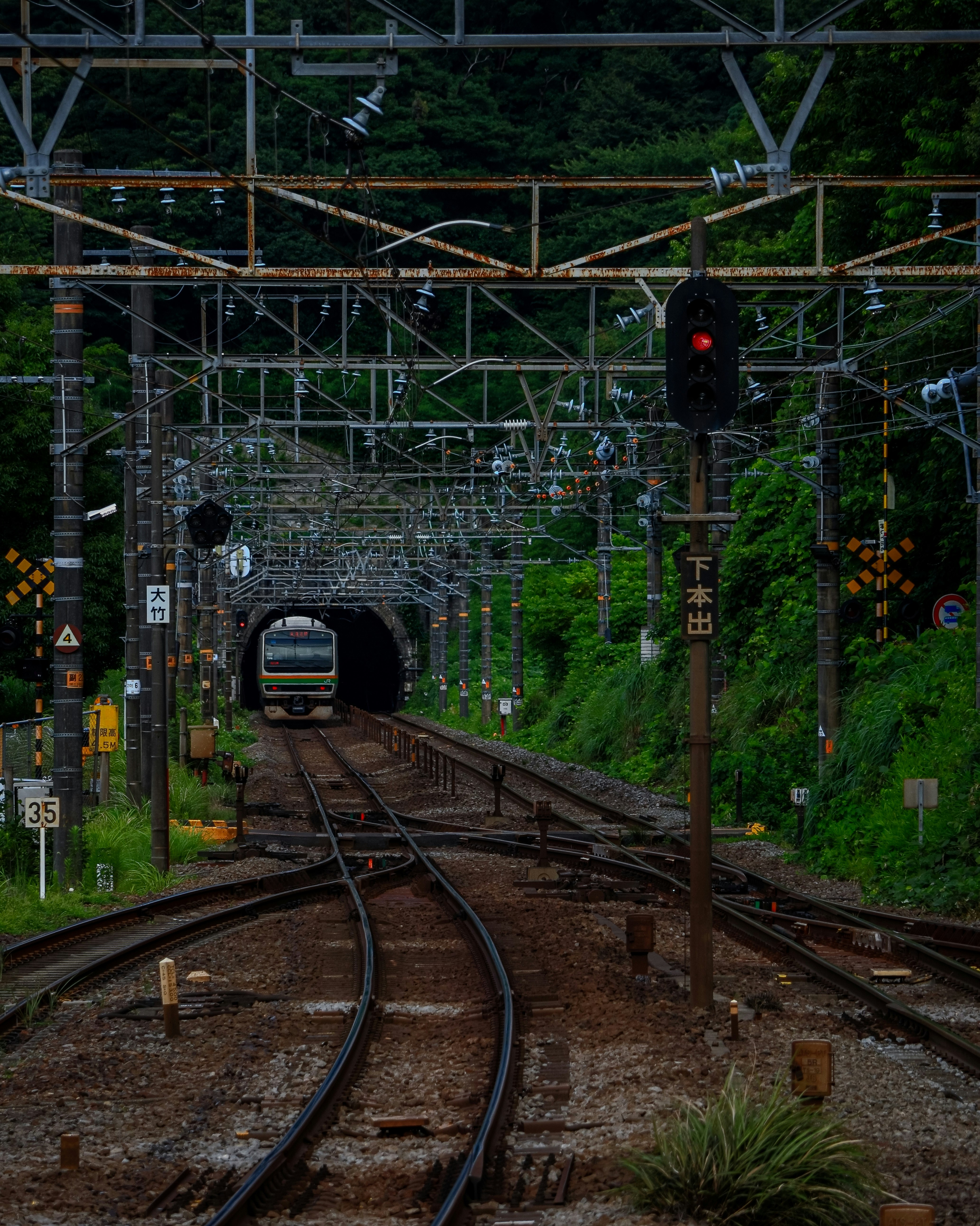 緑に囲まれた線路を走るE231系の列車がトンネルへ入る風景