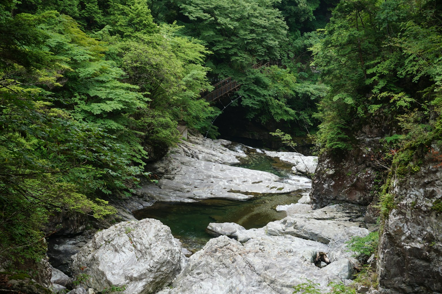 被郁郁蔥蔥的綠色植物環繞的寧靜山谷風景，特色是大岩石和清澈的溪流