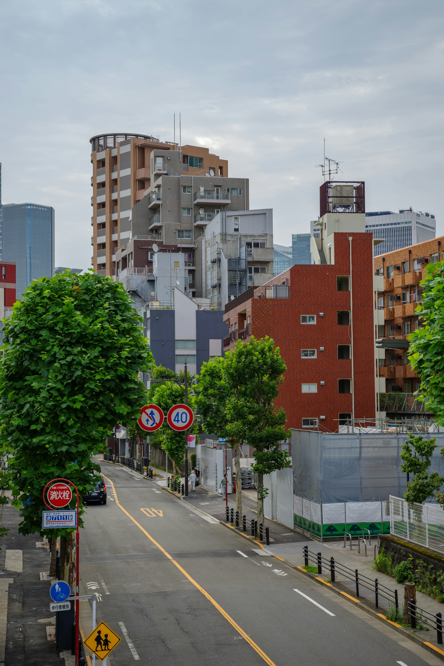 东京街道的景观，沿街是现代建筑和树木