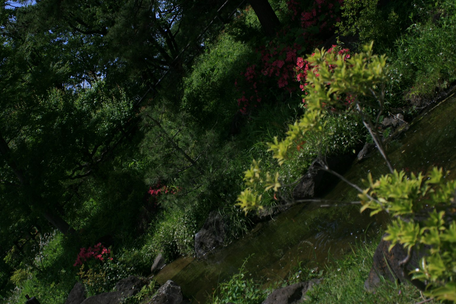 Jardín exuberante con un arroyo y flores coloridas