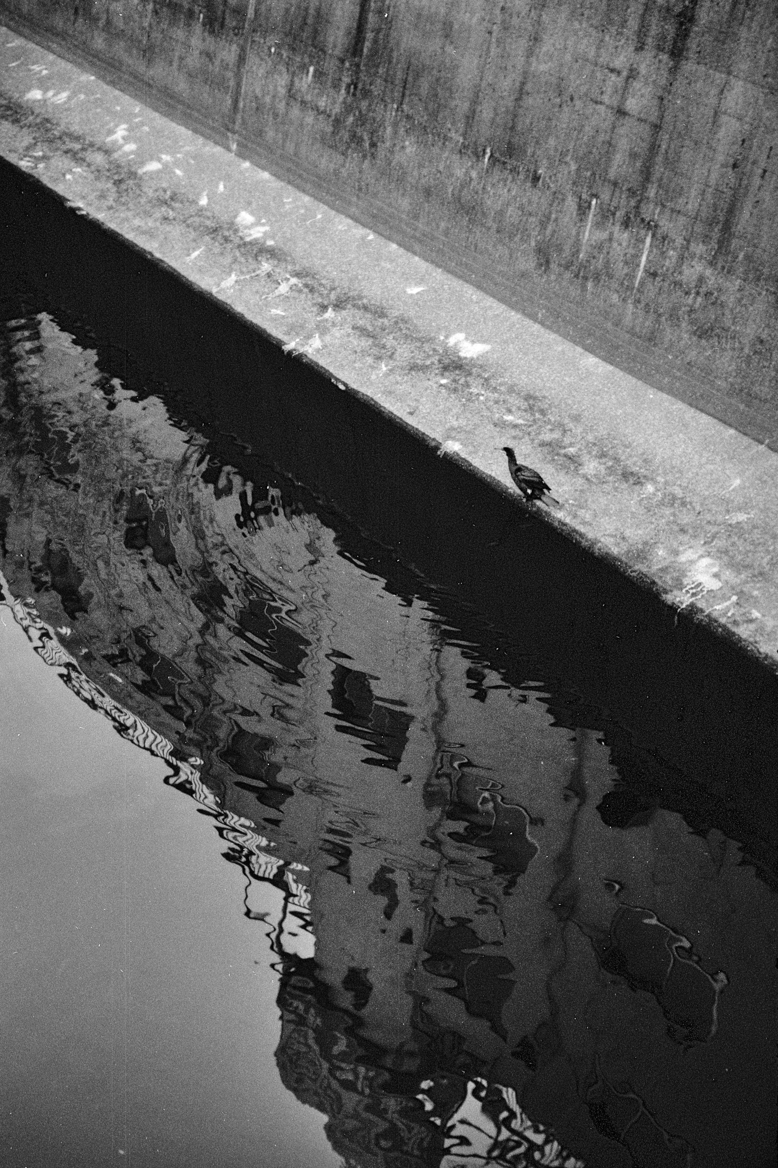 photo-eNyoTlouSrmfhDlRQuwU-image