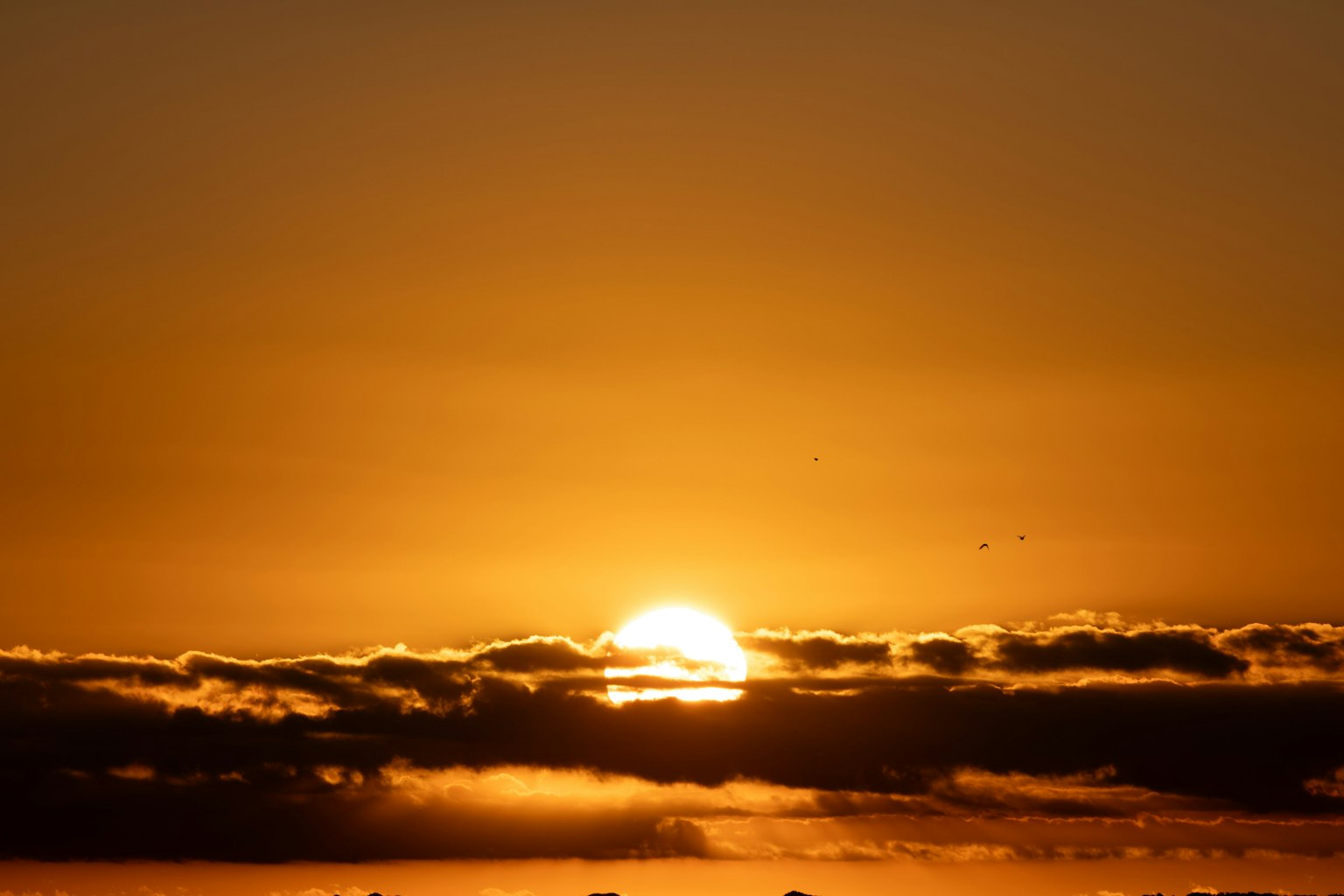 Magnifique coucher de soleil avec le soleil se levant au-dessus des nuages ciel orange et nuages doux