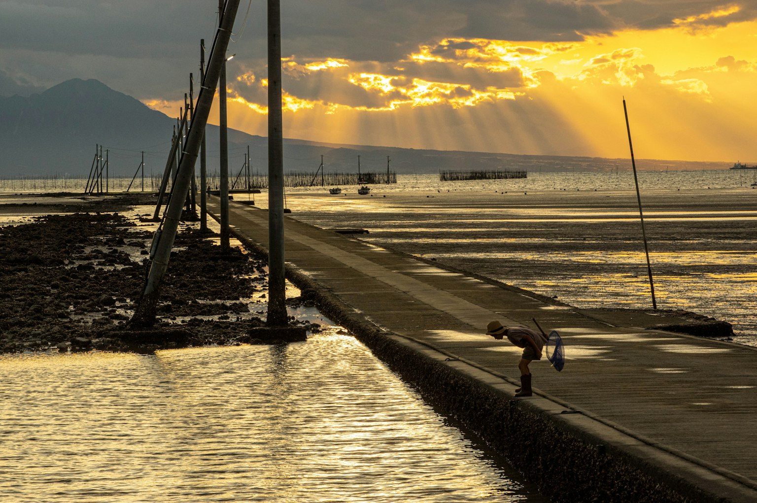 Ein Vogel, der versucht, einen Fisch vor dem Hintergrund eines Sonnenuntergangs über dem Meer und einem Pier zu fangen