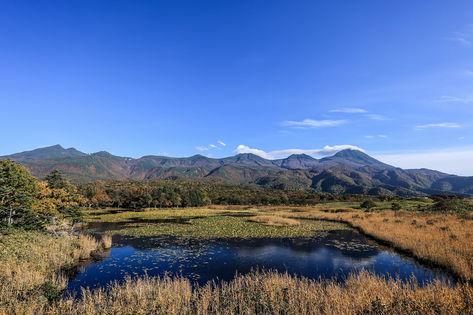 風景如畫的濕地和水面，背景是山脈和晴朗的藍天