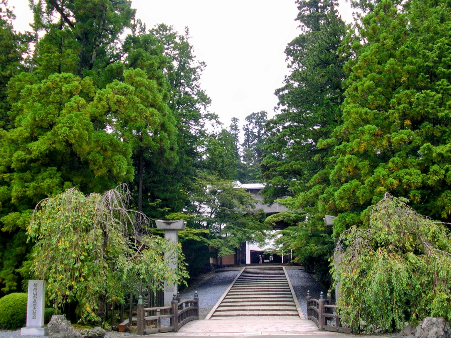 被郁郁蔥蔥的綠色包圍的神社入口，特色石階