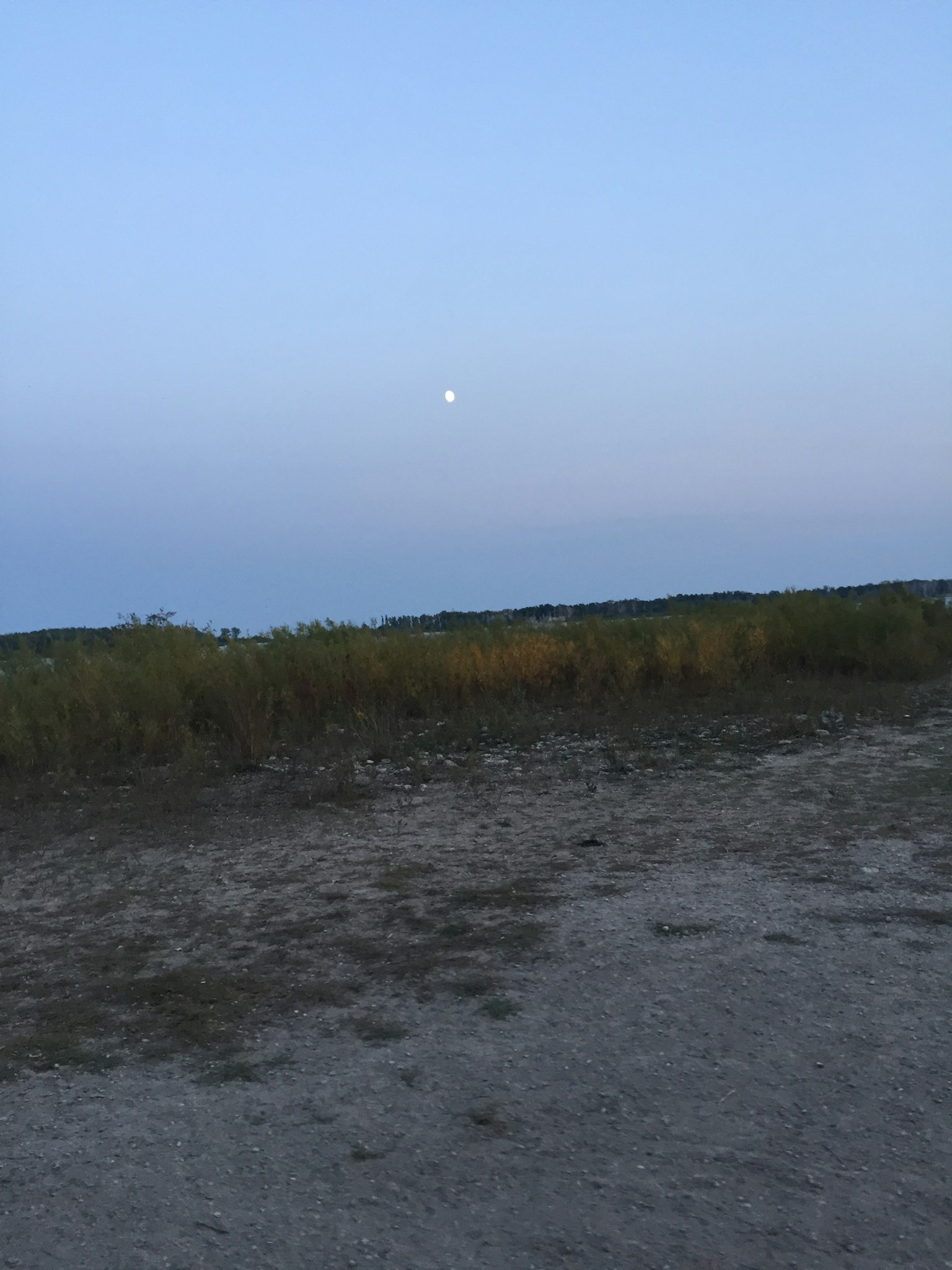 Lune dans un ciel bleu au-dessus d'un paysage herbeux