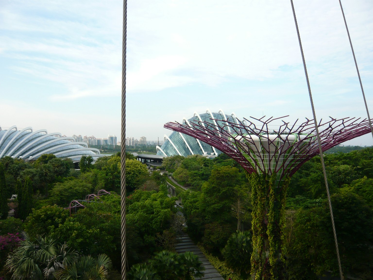 Blick auf den Supertree Grove und die Gewächshäuser im Gardens by the Bay