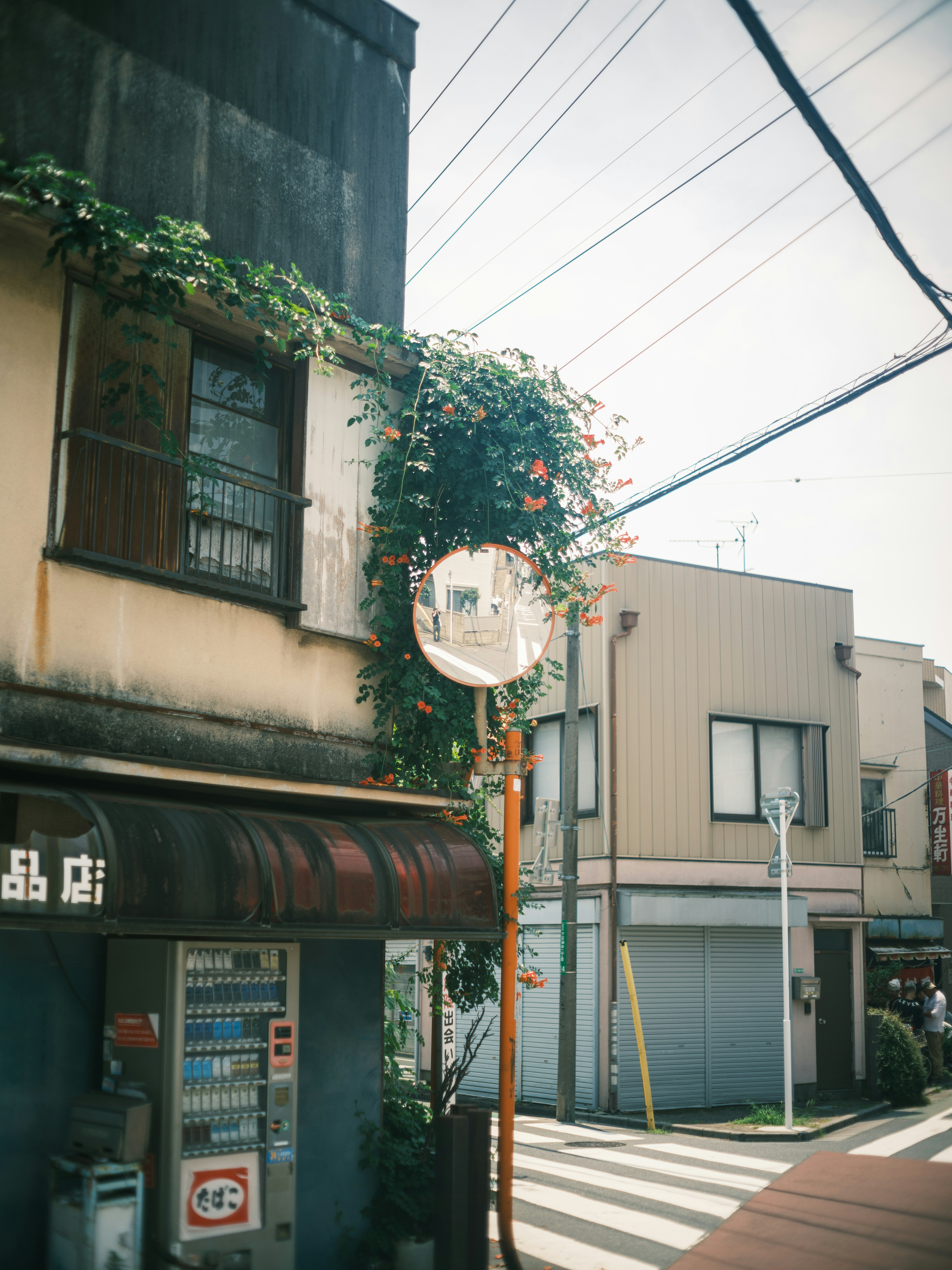 古い建物と緑の植物が絡まる街角の風景