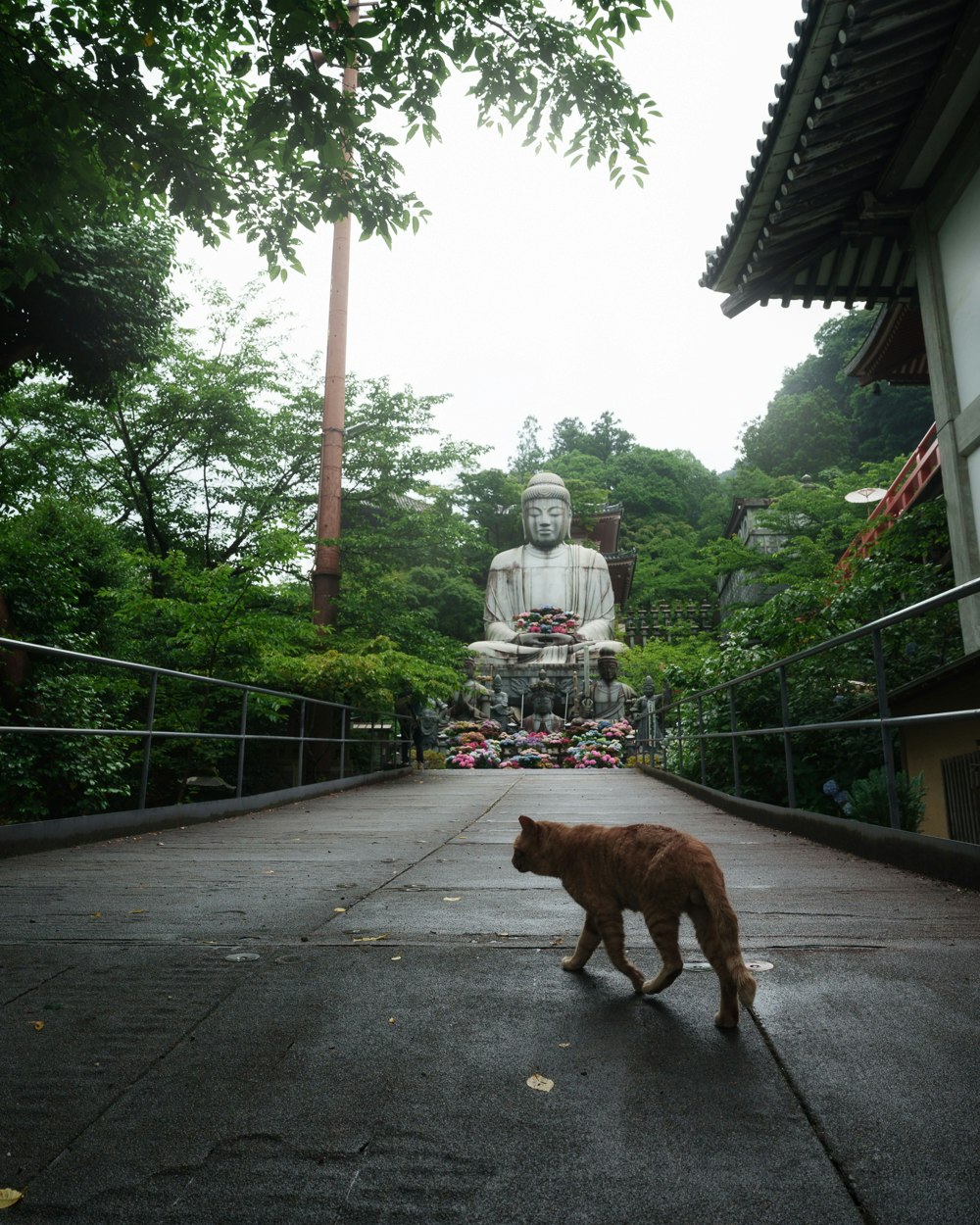 Buddhistische Steinstatuen entlang eines Tempelweges mit einem braunen Hund auf dem Pfad