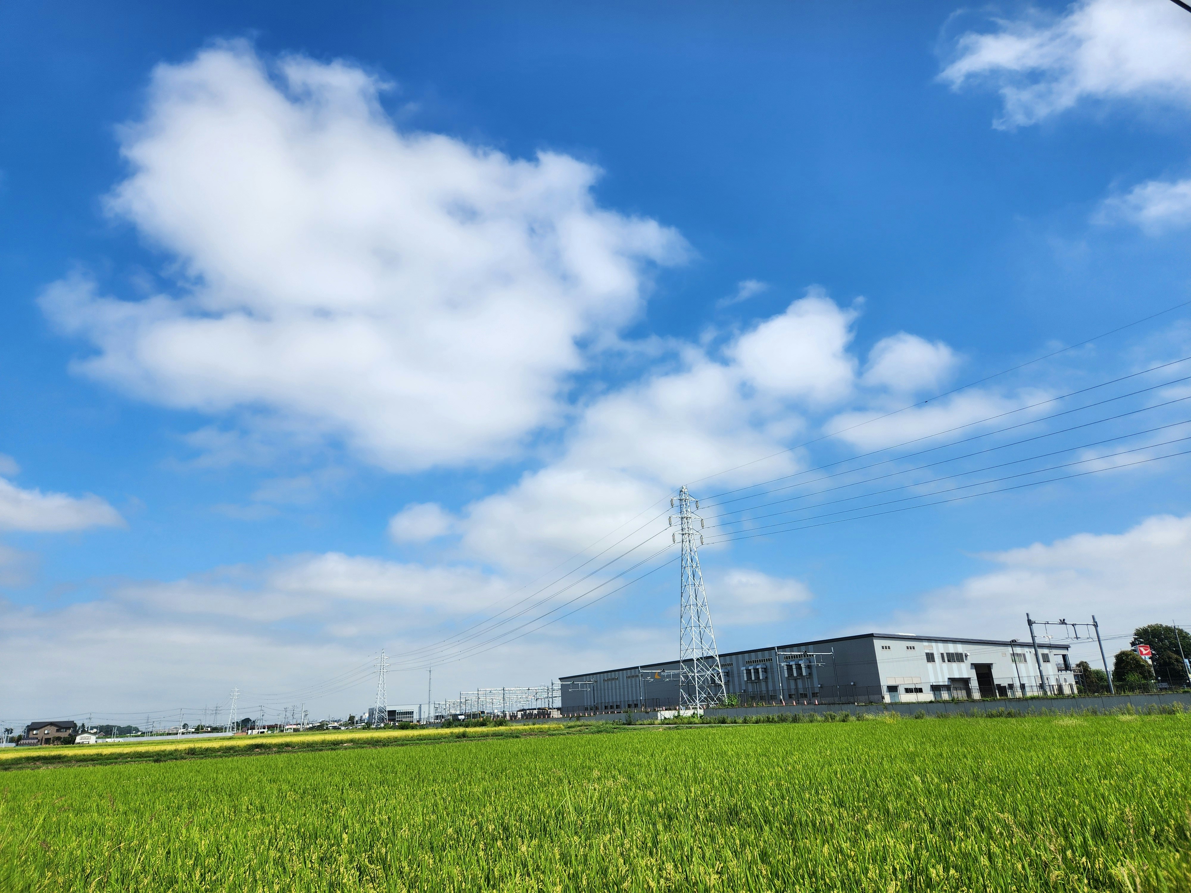 青空の下の広い緑の畑と工業施設