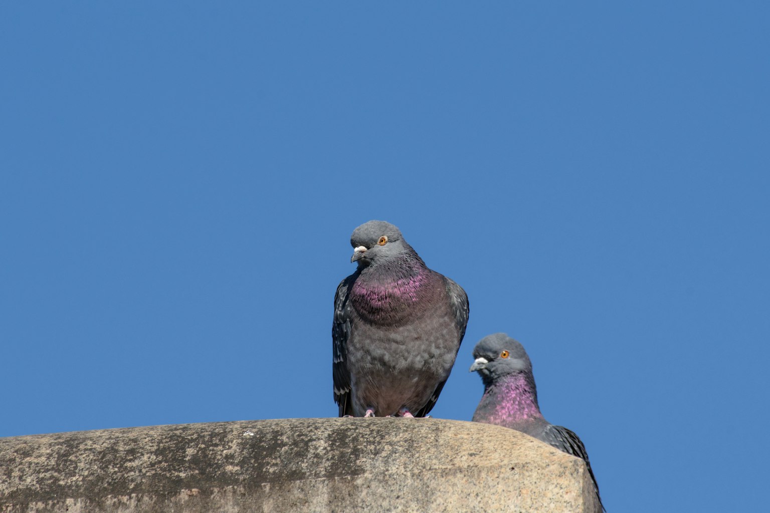 photo-eQhtDM43NEp1D4QoE7JF-image