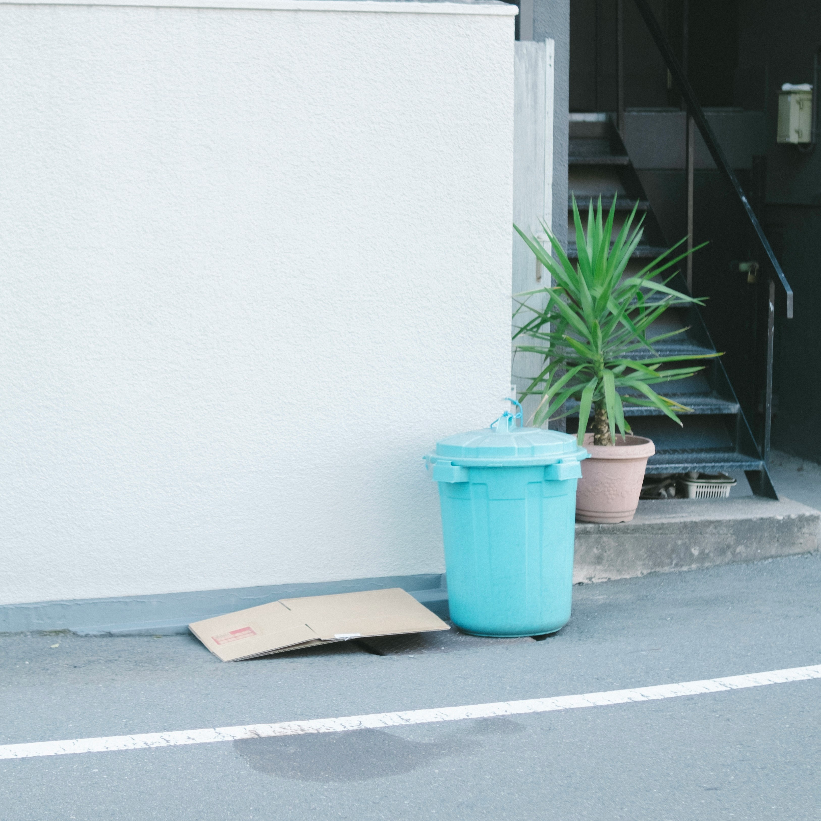 白い壁の前に置かれた鉢植えと植木鉢