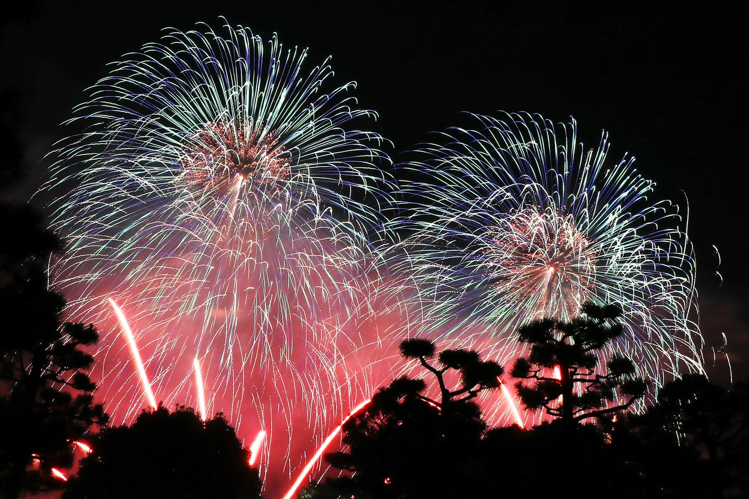 Feux d'artifice colorés éclatant dans le ciel nocturne avec des arbres en silhouette