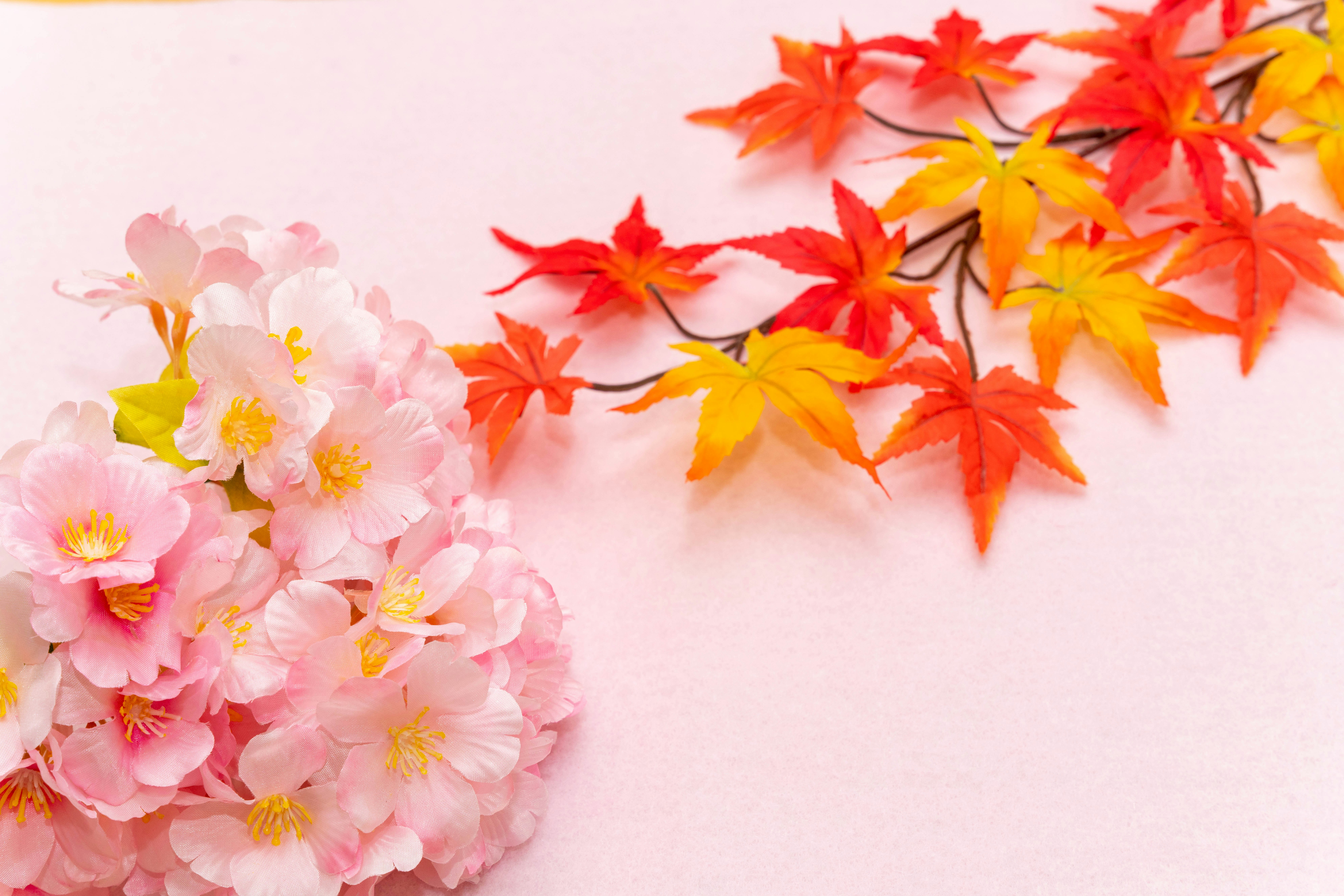 桜色の花と紅葉のような葉が並ぶ春秋ミックスの花飾り