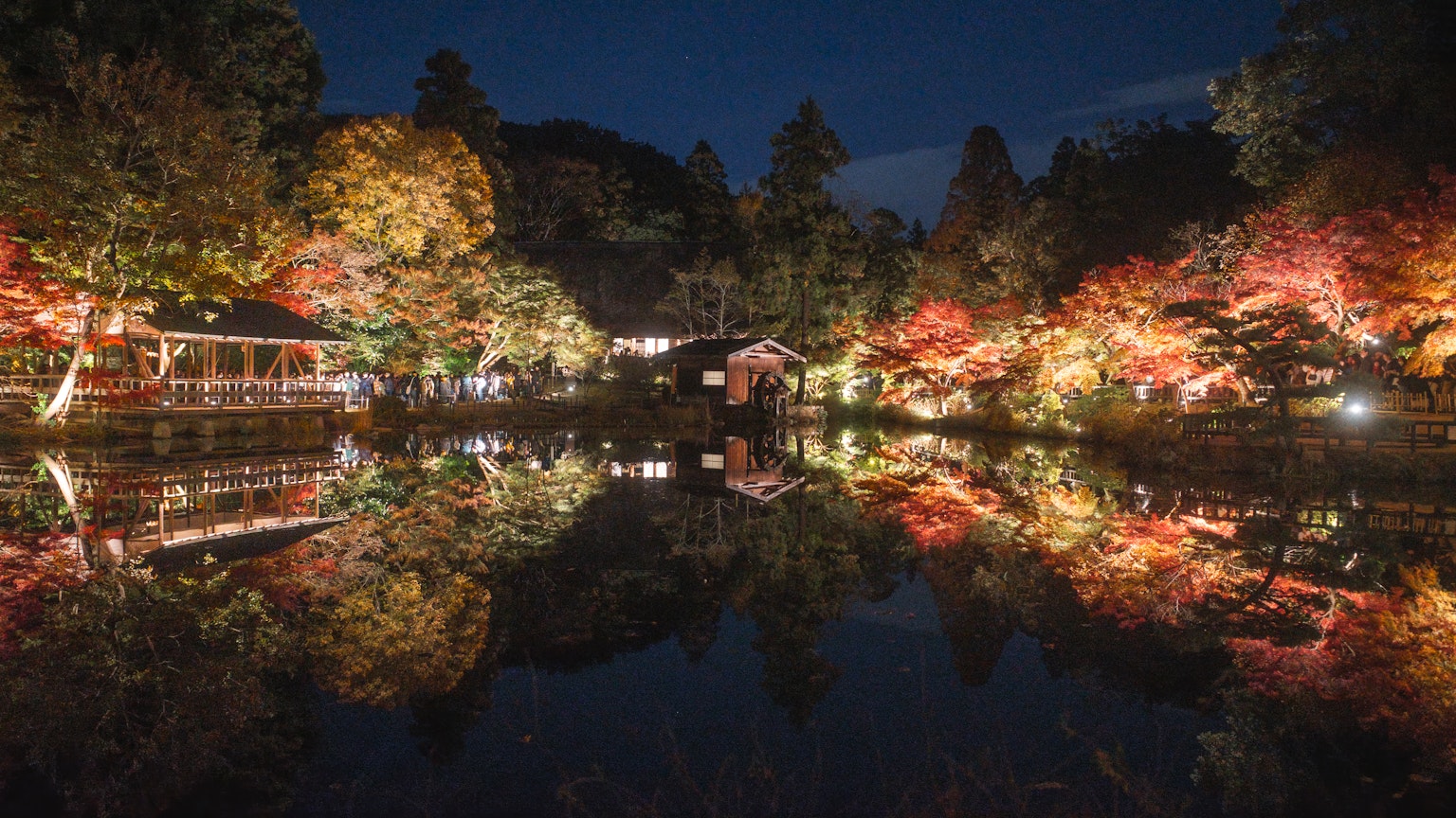 夜晚池塘的倒影，映衬秋天的树叶和照明的树木