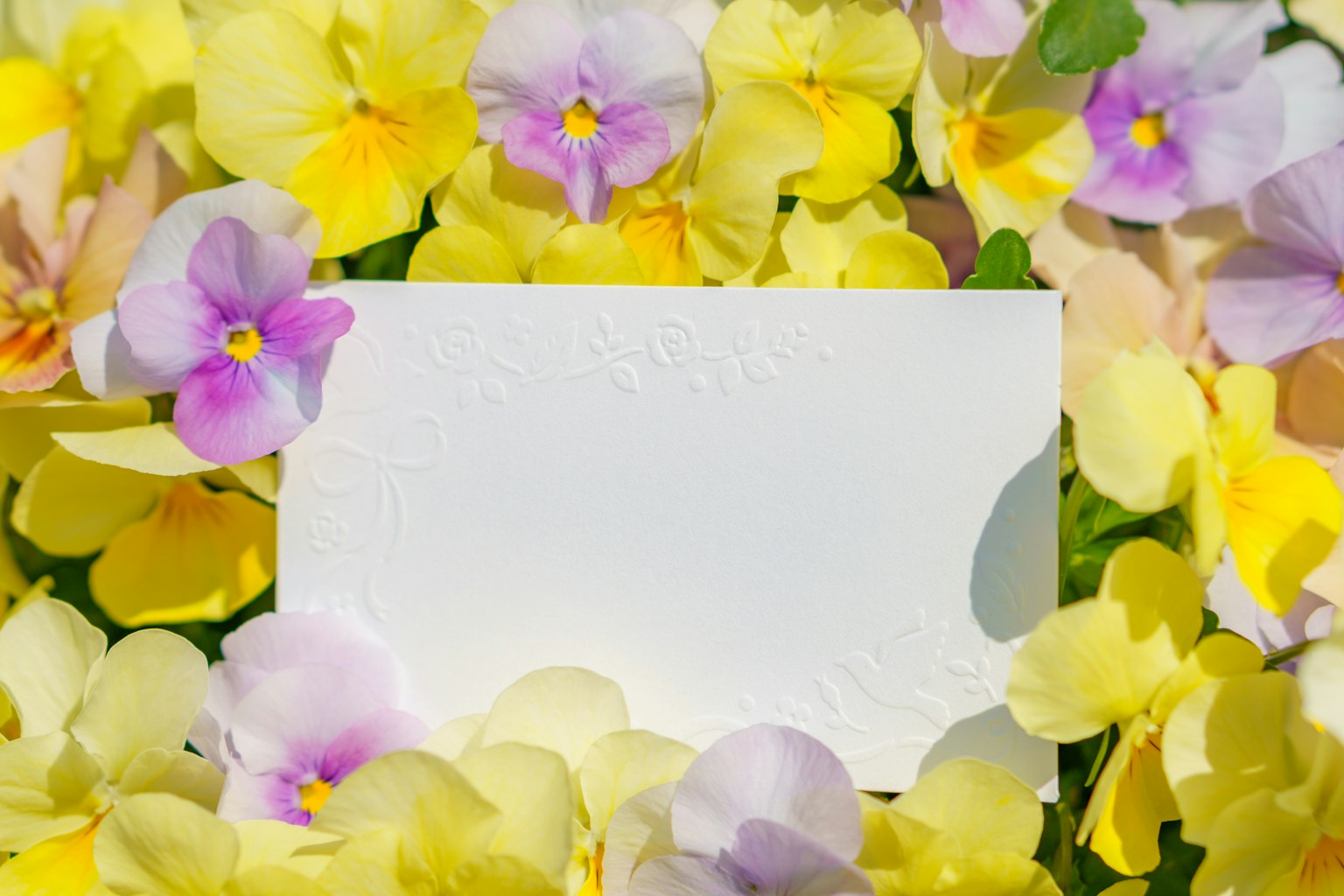 Carta vuota circondata da fiori gialli e viola