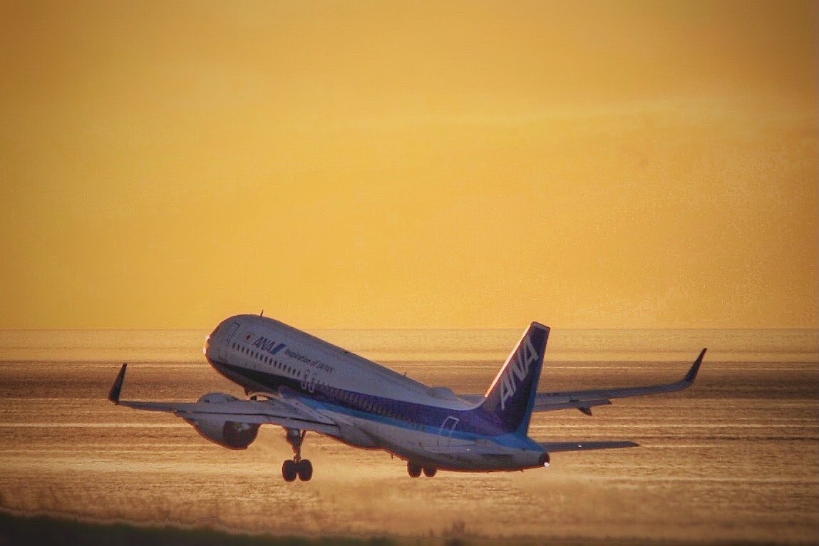 夕方の滑走路で離陸直後のANA機