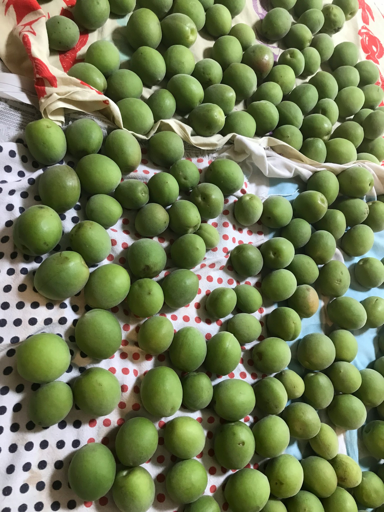 Imagen de frutas verdes dispuestas sobre una superficie
