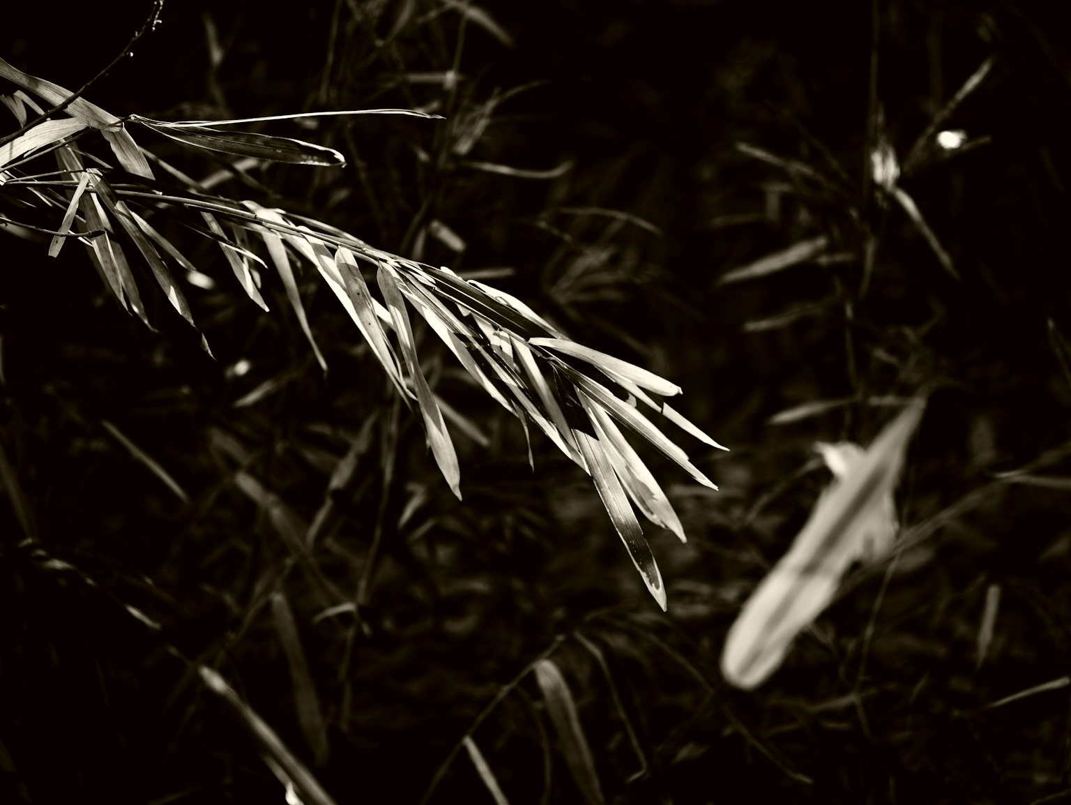 photo-eTEp3brjz91SLpzKOtz7-image