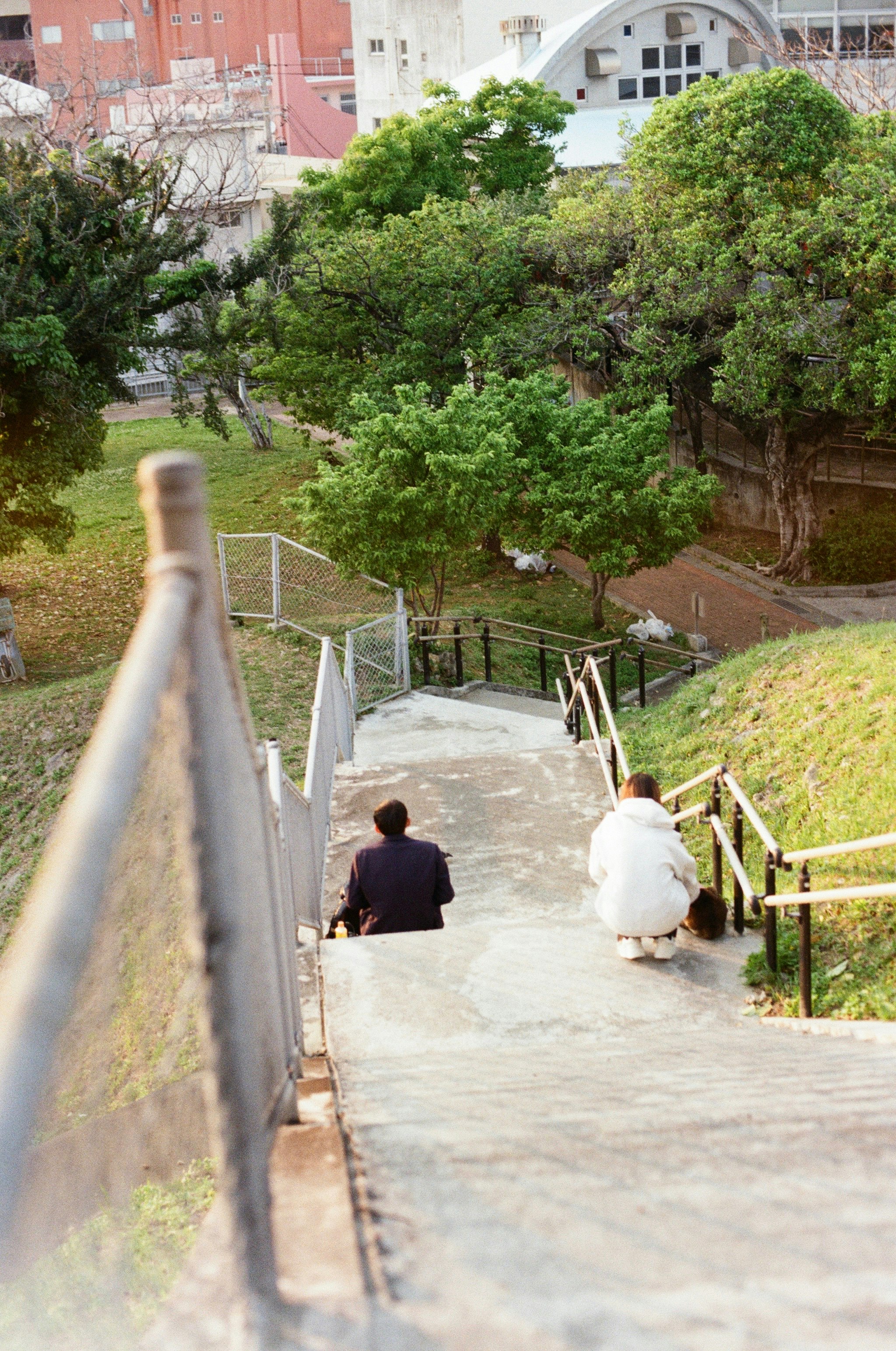 庭園の小道と緑の木々のある屋外風景