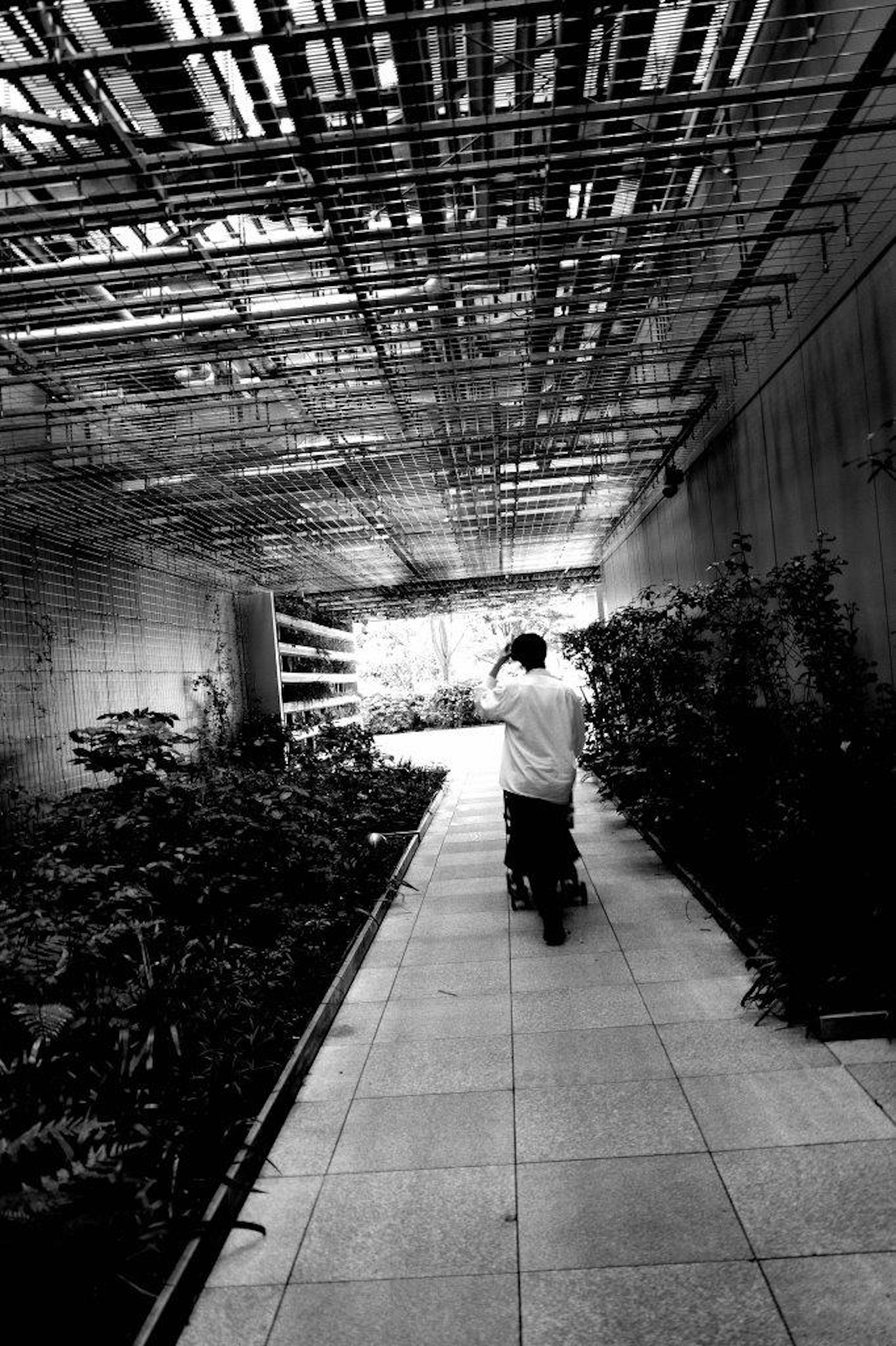 Một người đàn ông đang đi bộ qua hành lang đen trắng với cây xanh ở hai bên
