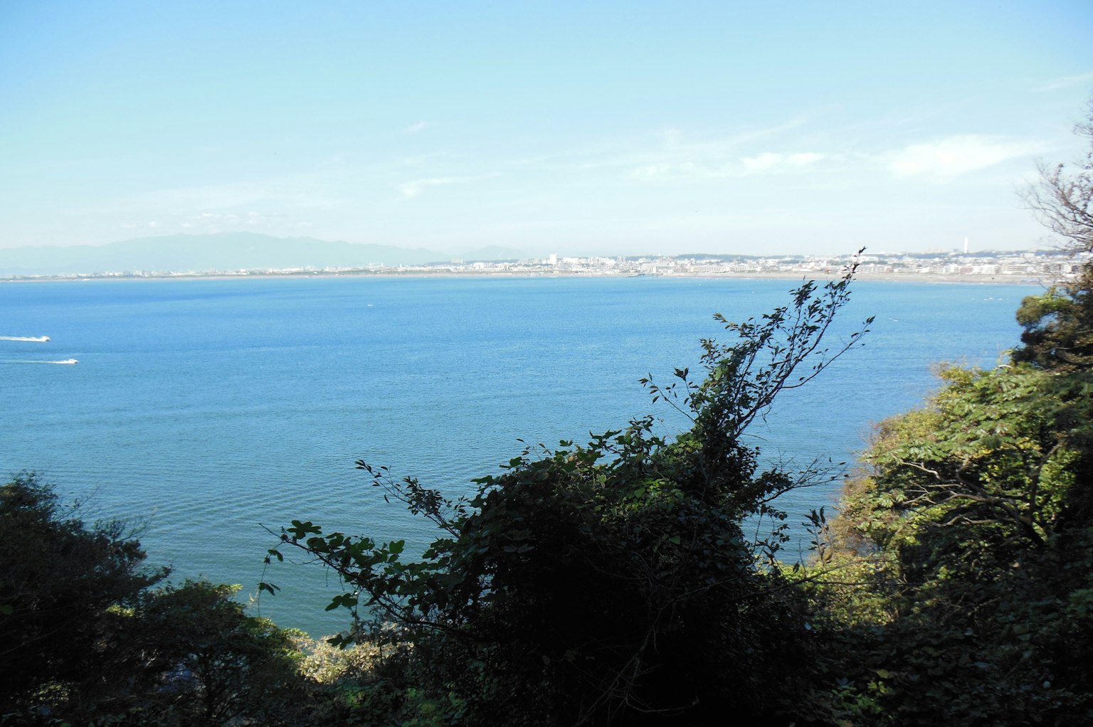 Panoramablick auf das blaue Meer und den Himmel mit Grün