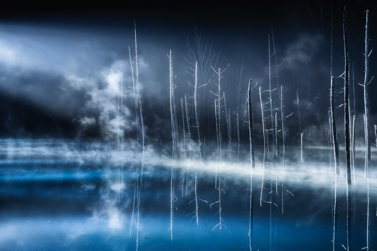 photo-eV8Y9WX6TLcMRE9rqcEt-image