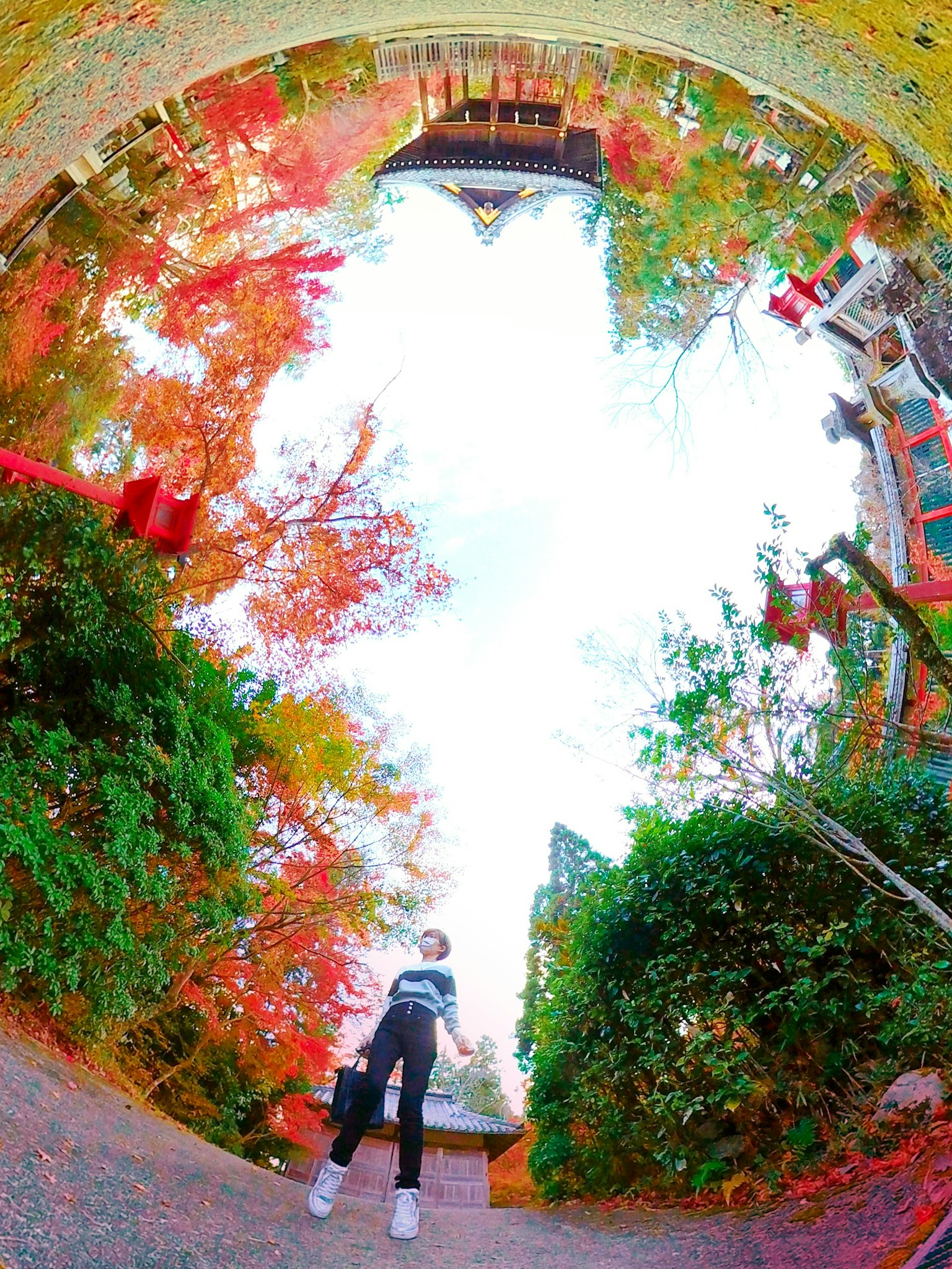 A woman standing in a garden surrounded by autumn leaves