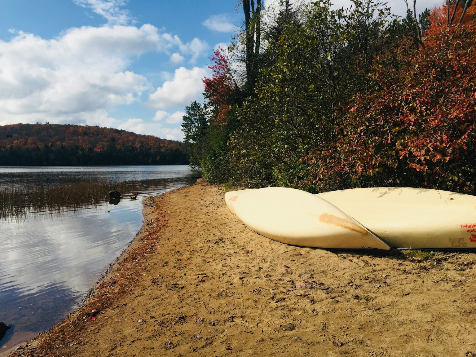 Due kayak su una spiaggia di sabbia accanto a un lago con alberi autunnali colorati