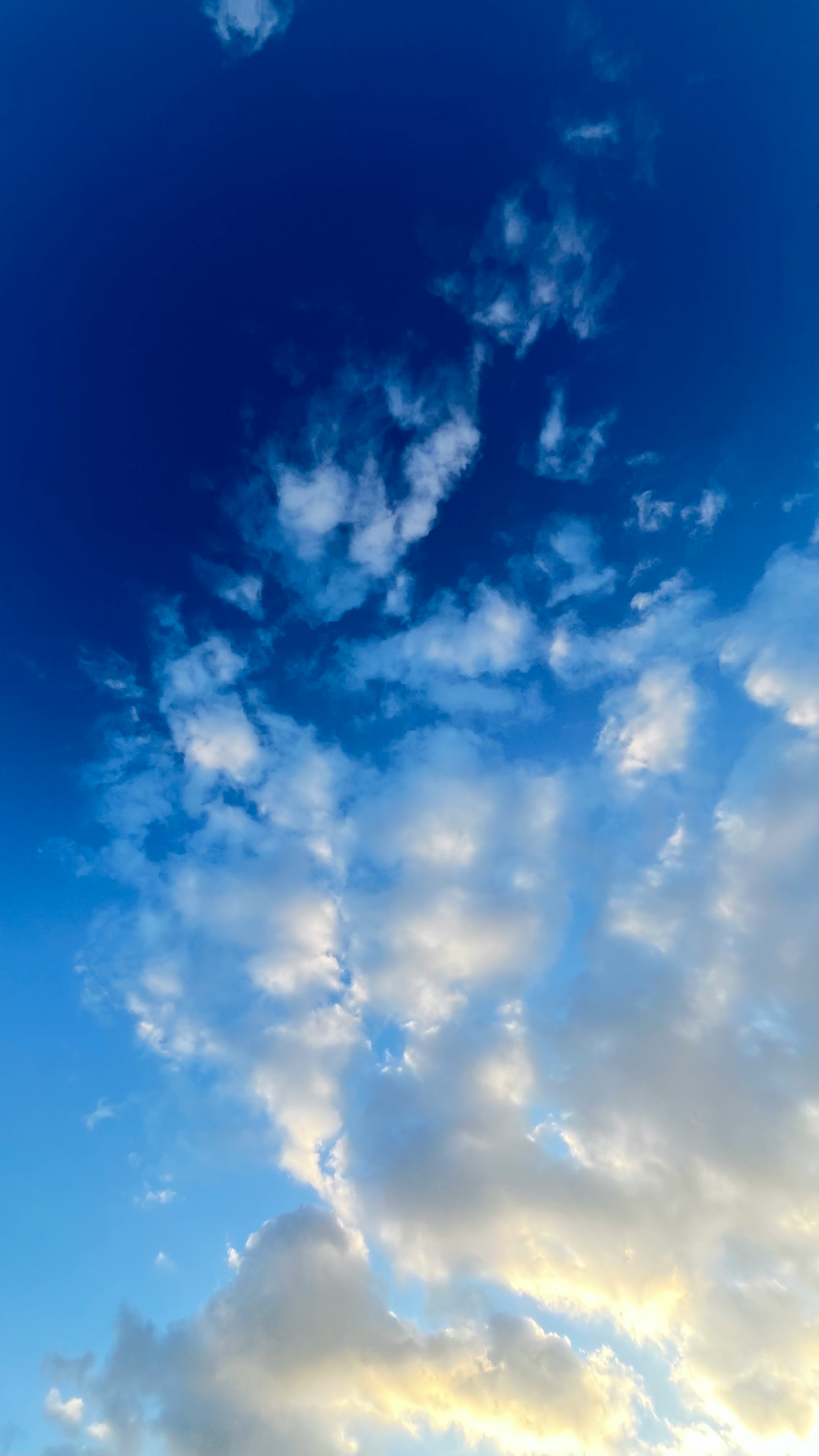 青空に広がる雲のグラデーション