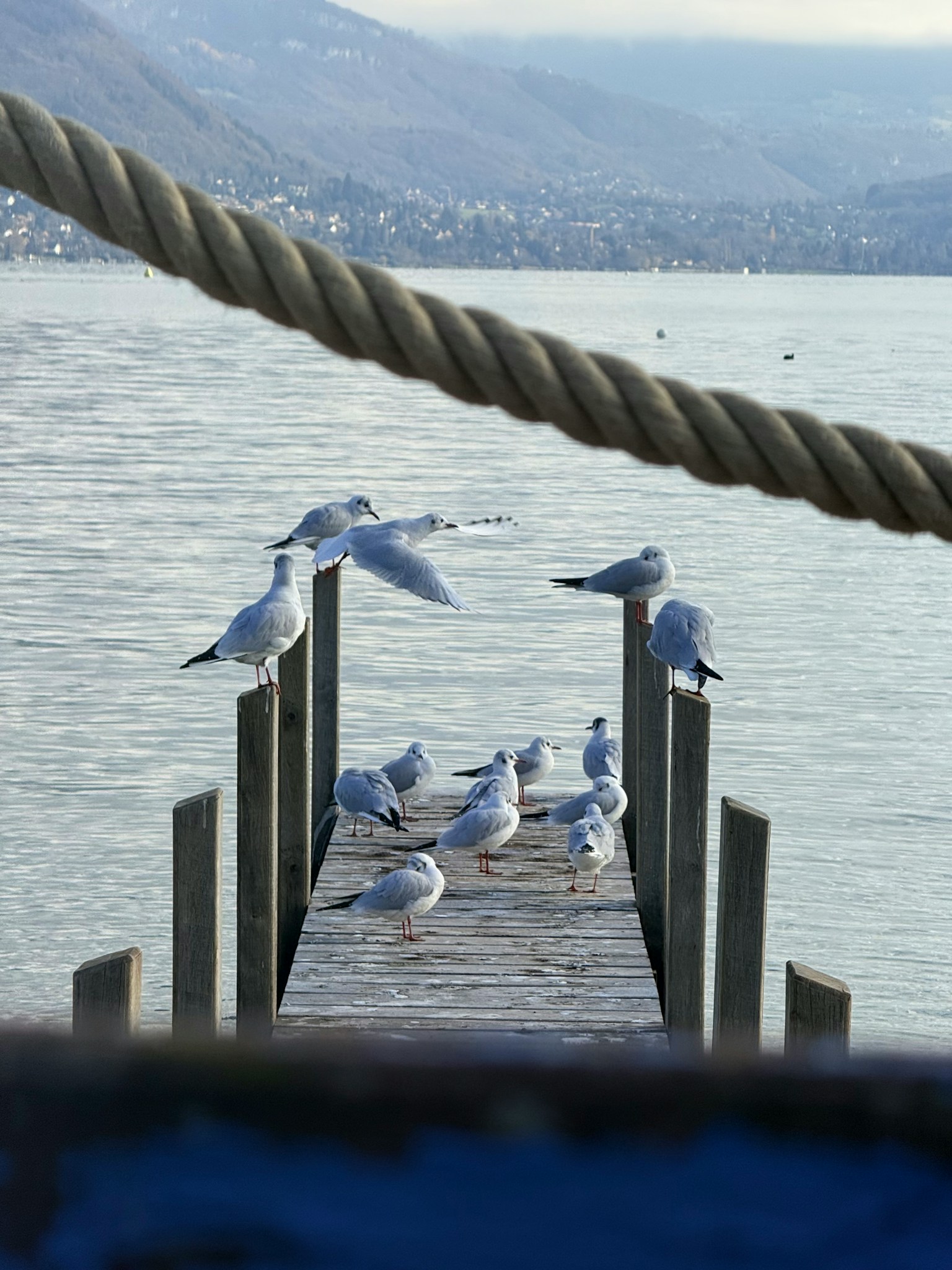 photo-eWgHOwSIotK0RGuljlou-image