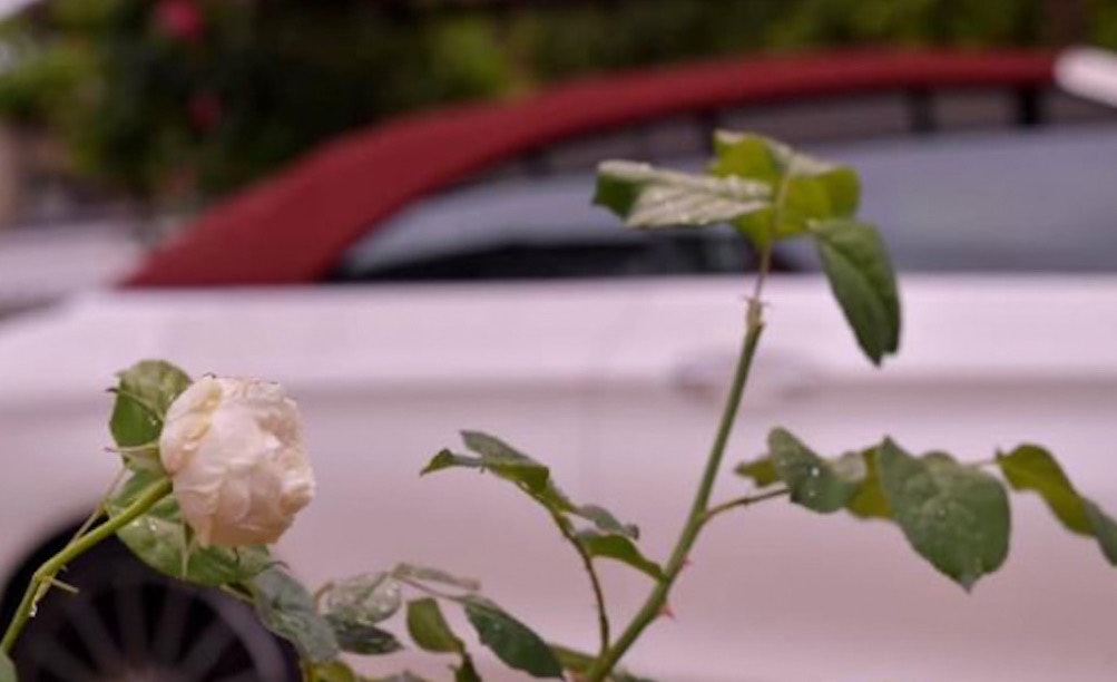 Rose in fiore davanti a una cabriolet rossa