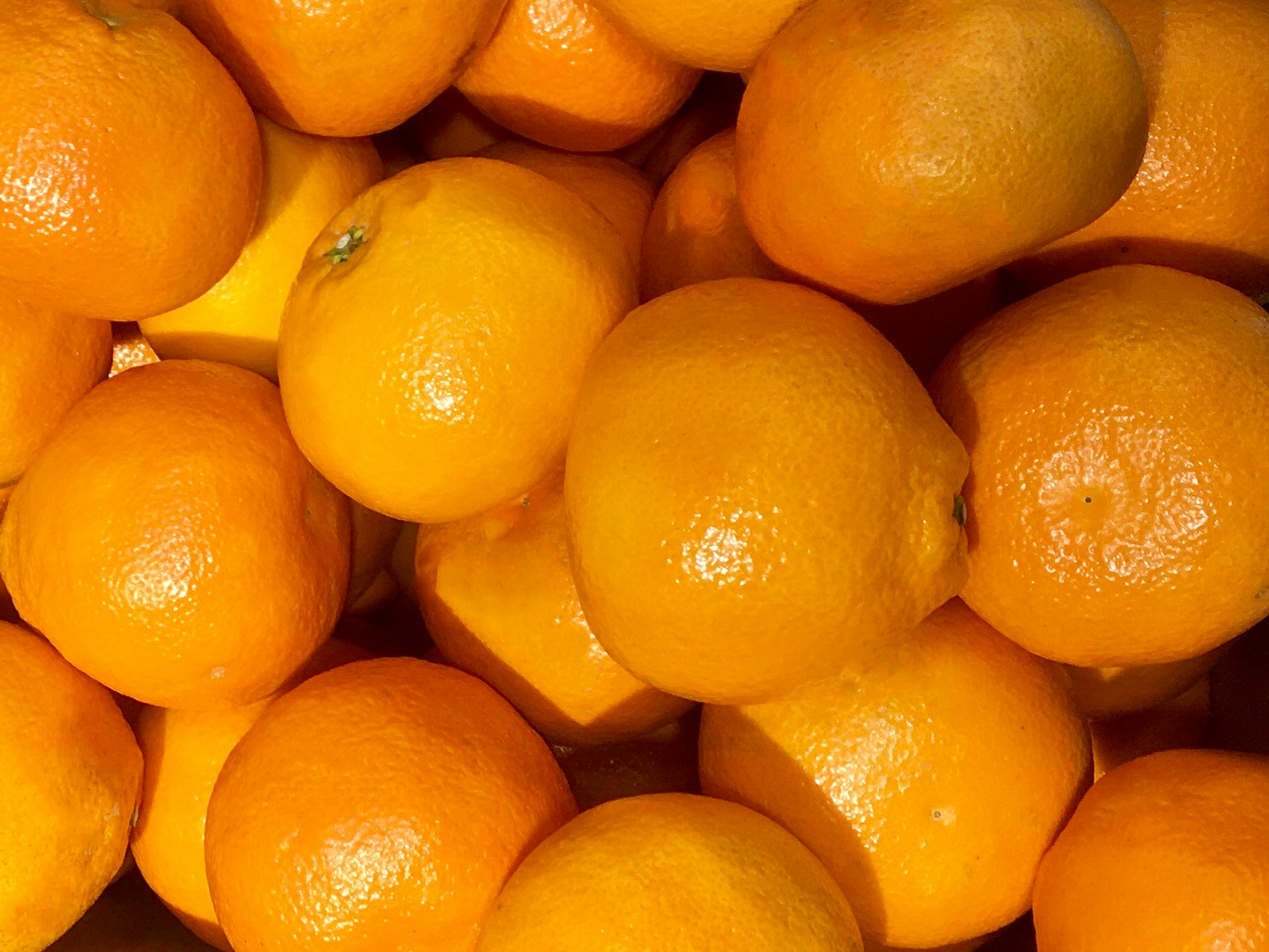 close-up of tightly packed oranges