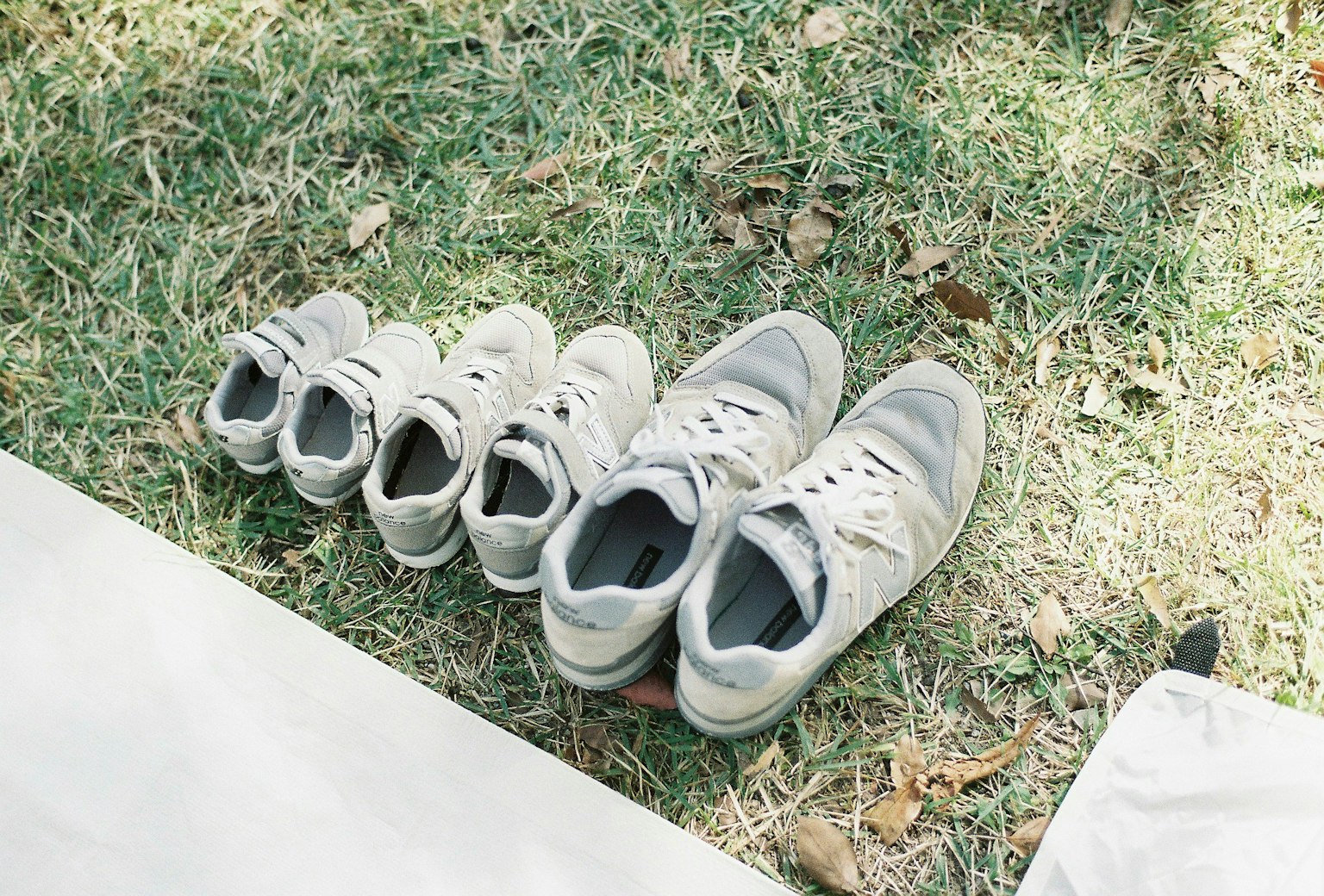 Diverse misure di scarpe da ginnastica disposte ordinatamente sull'erba