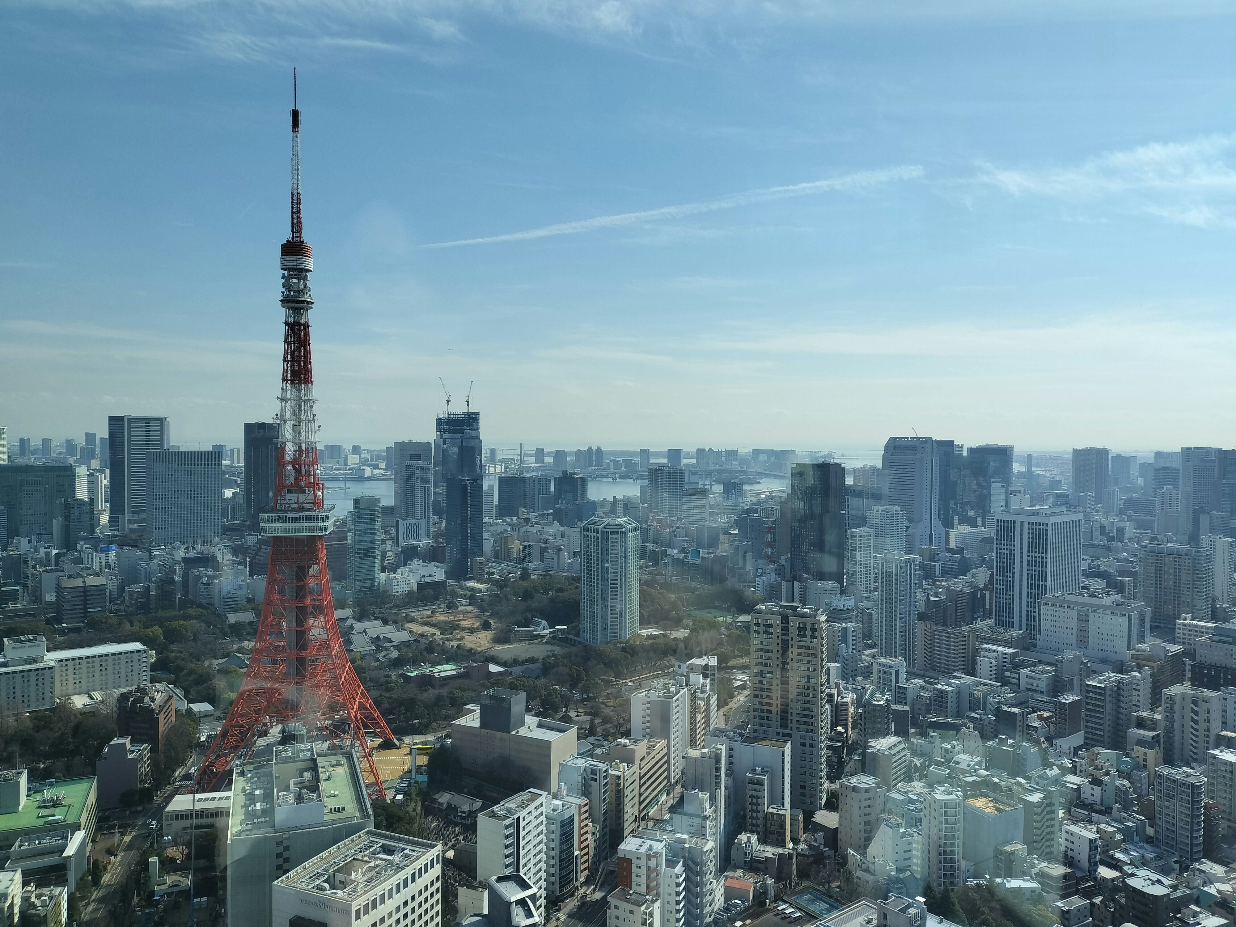 Vue urbaine avec la tour de Tokyo et un ensemble d’immeubles