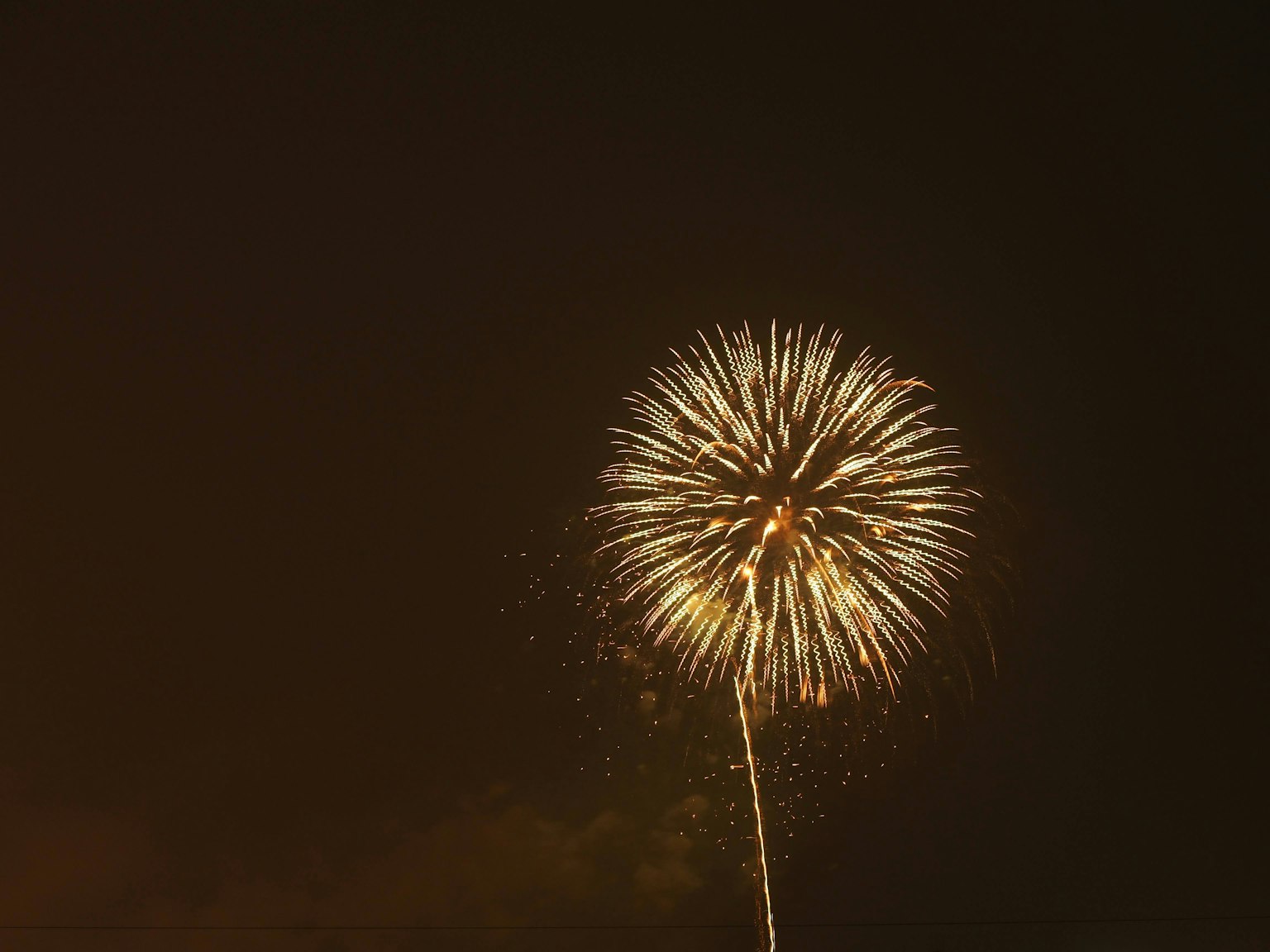 Hermoso patrón de fuegos artificiales floreciendo en el cielo nocturno