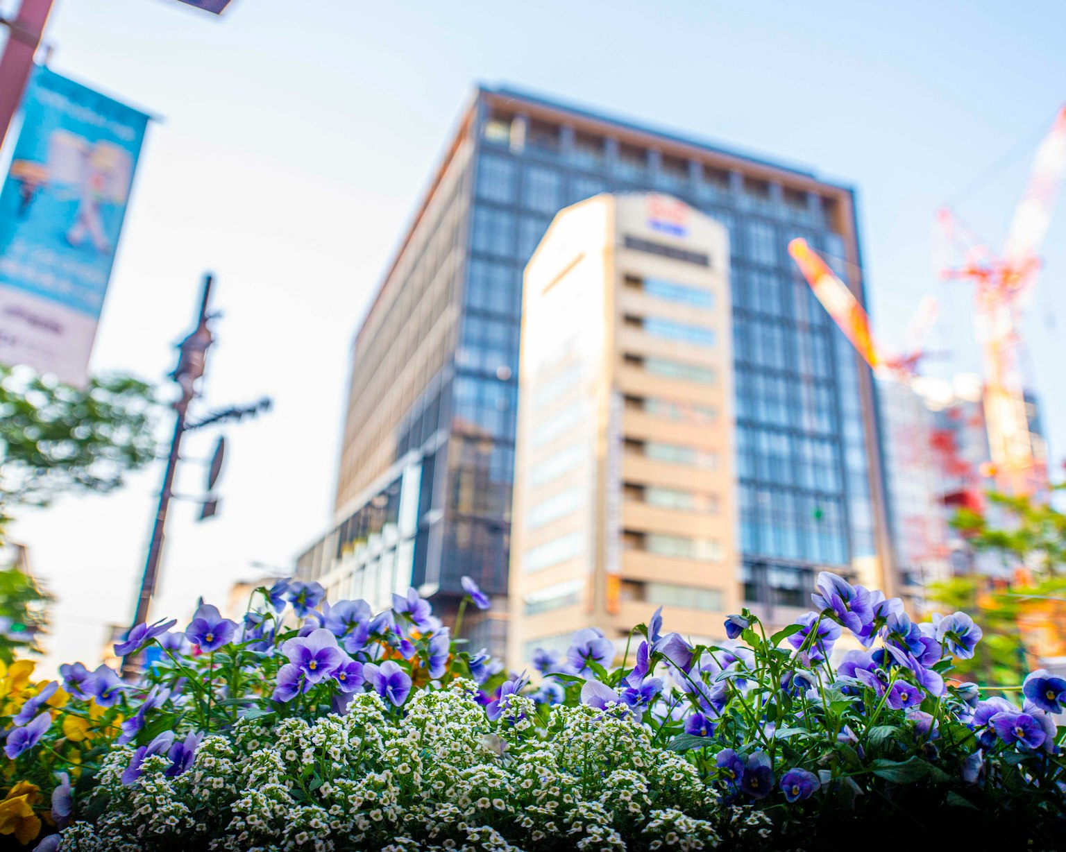 Fiori vivaci davanti a un edificio moderno sotto un cielo blu