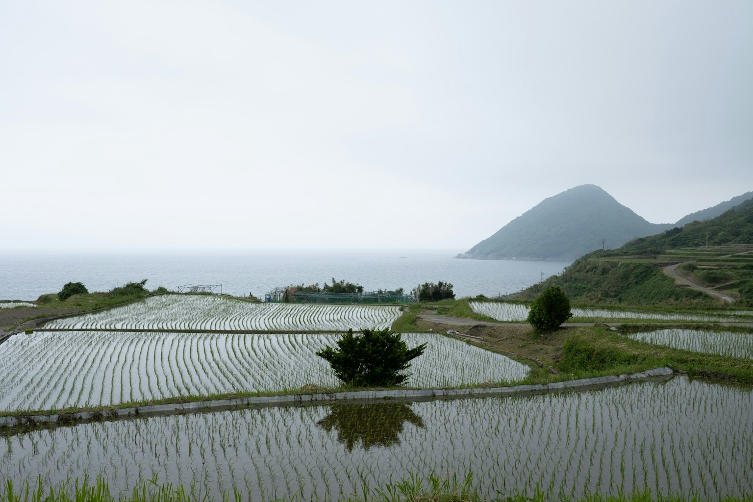 Beautiful rice field landscape surrounded by ocean and mountains