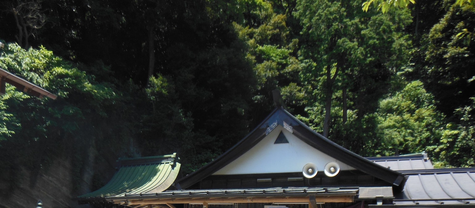 被郁郁葱葱的绿色植物环绕的传统日本建筑屋顶