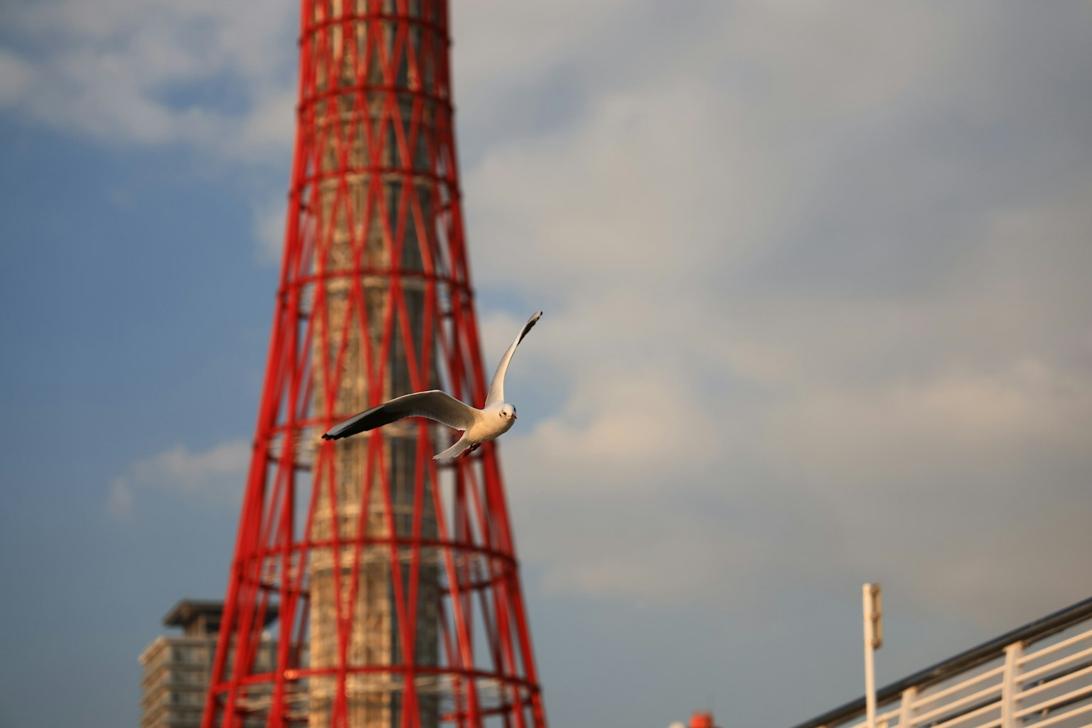Bird flying in front of a red tower