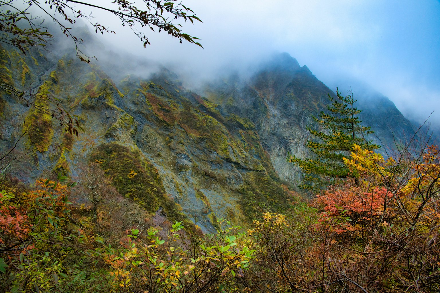 Pemandangan pegunungan berkabut dengan dedaunan musim gugur