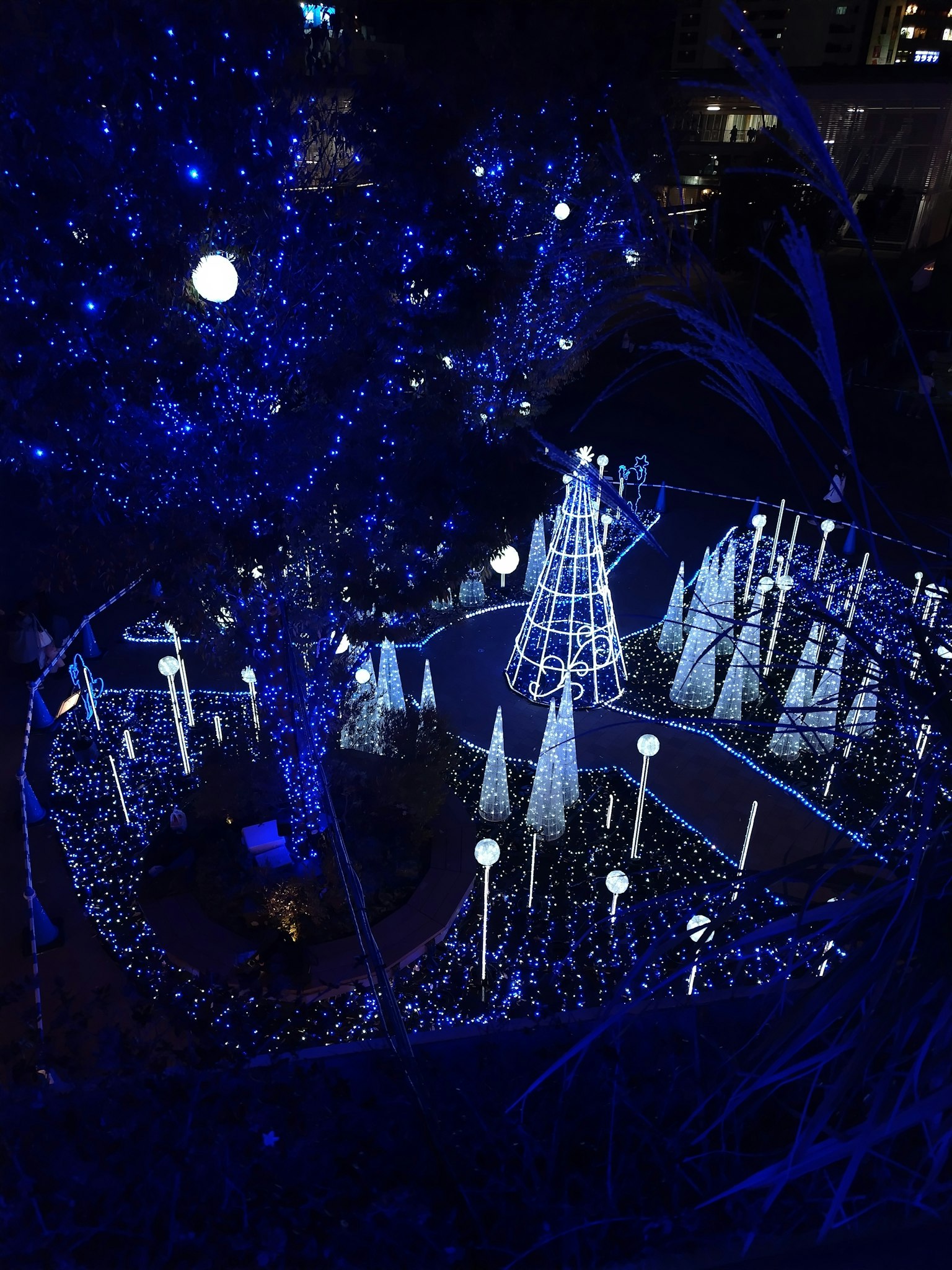 ภูมิทัศน์ฤดูหนาวที่ประดับด้วยไฟสีฟ้ามีต้นไม้ที่มีหิมะและต้นคริสต์มาสประดับ