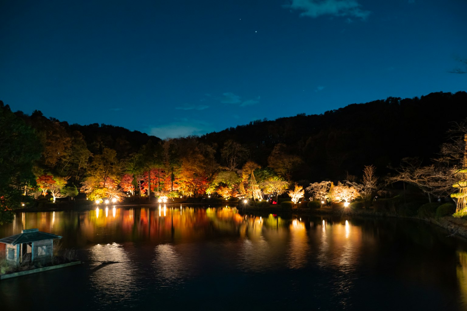 Beleuchtetes Herbstlaub spiegelt sich nachts auf einem See